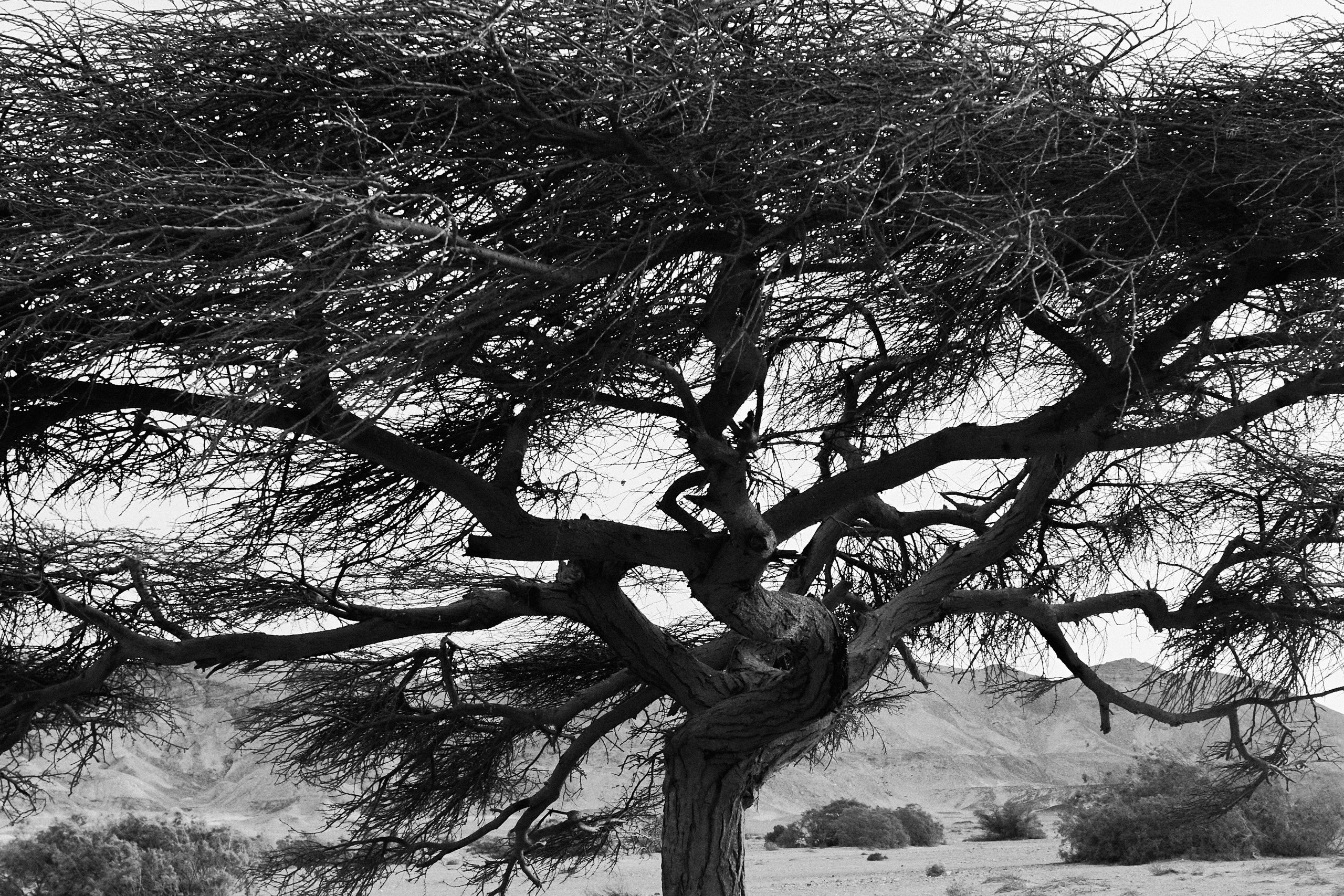 B&W. Jorgis — фотограф в Хургаде / обучение фотографии