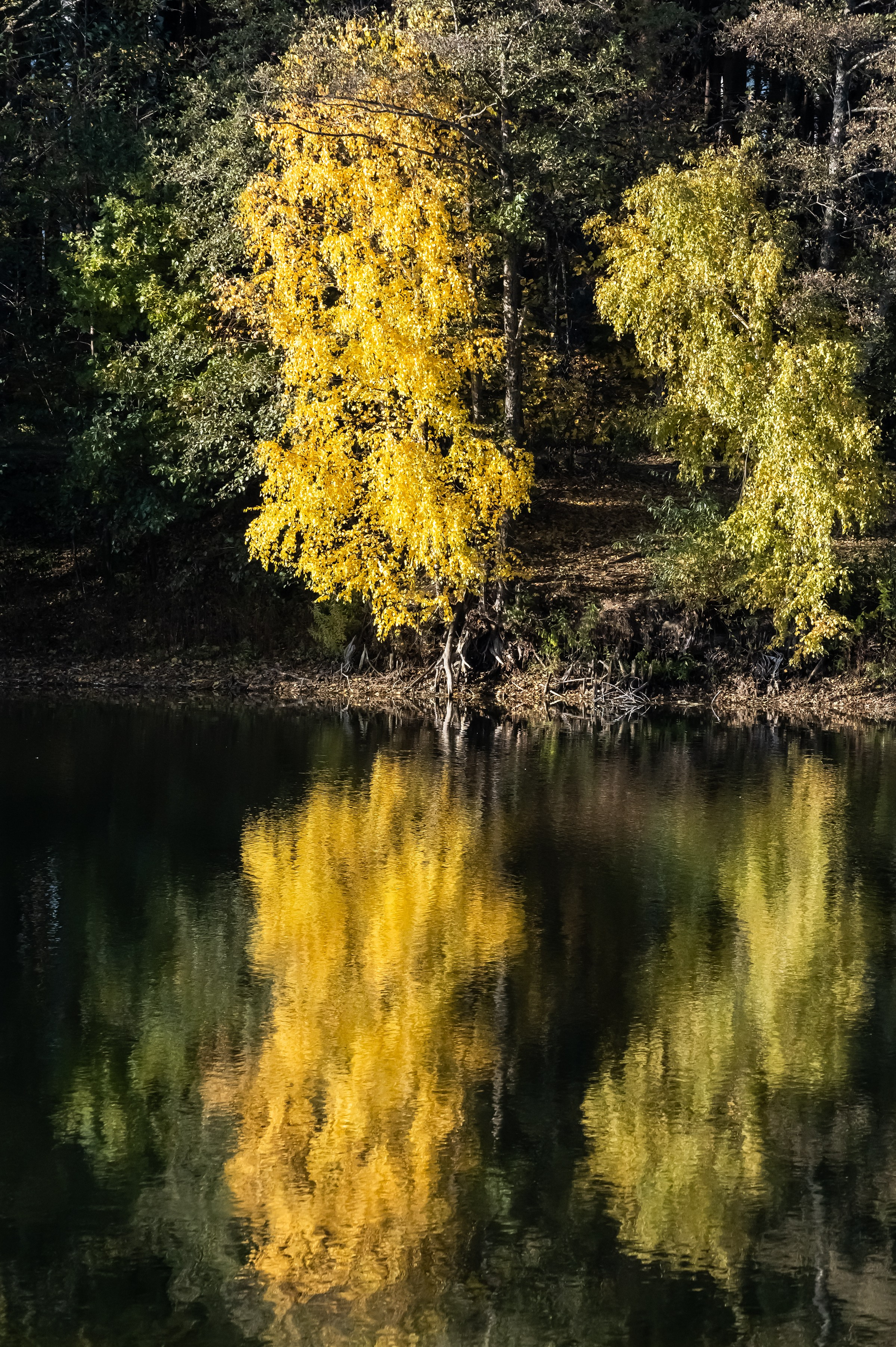 Красота Заречного. Репортажный, семейный и детский фотограф в Пензе и Заречном Арина Ермилова. Картины барельеф на заказ