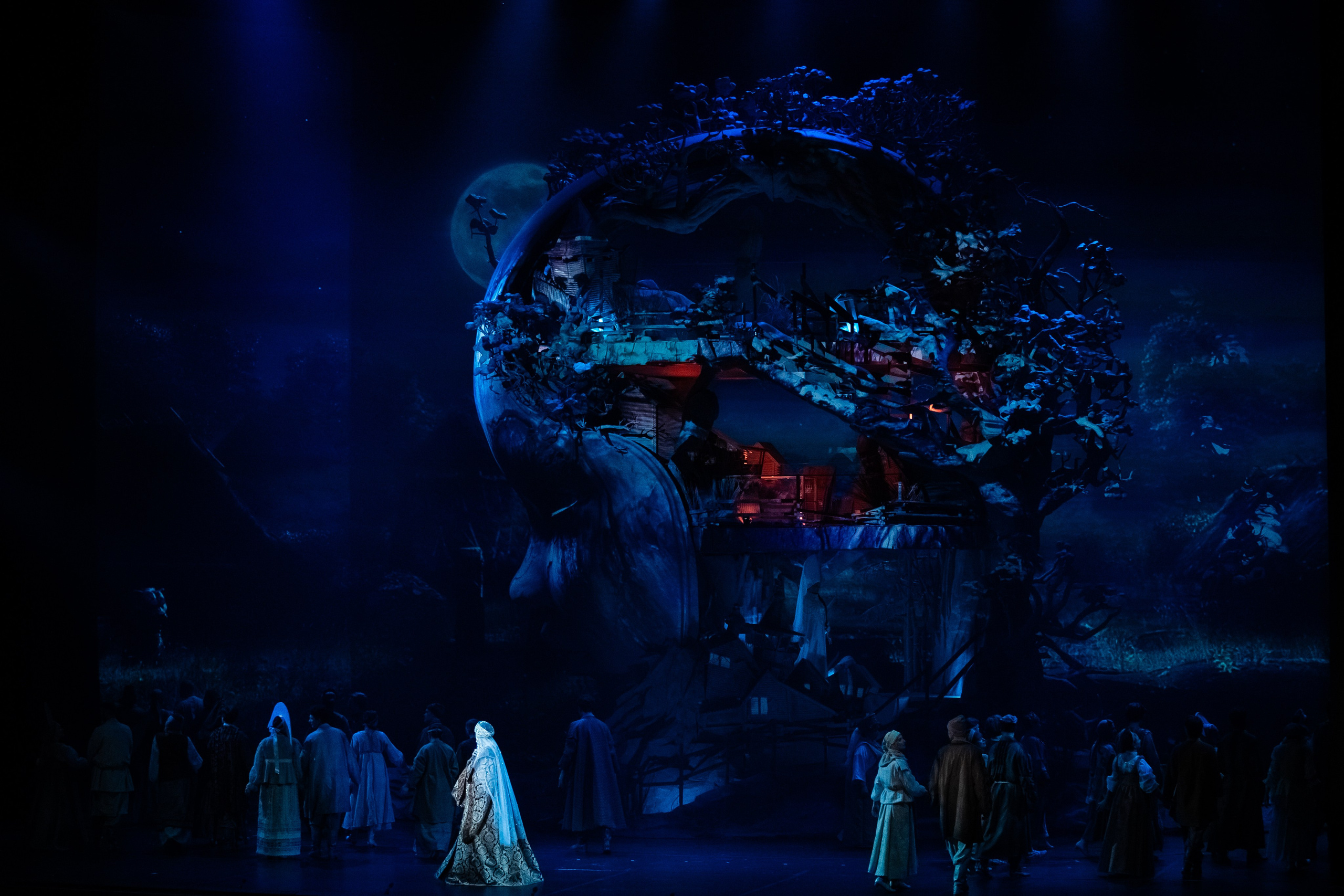 Мандрагора. Фотограф и видеограф Евгений Романов Санкт-Петербург