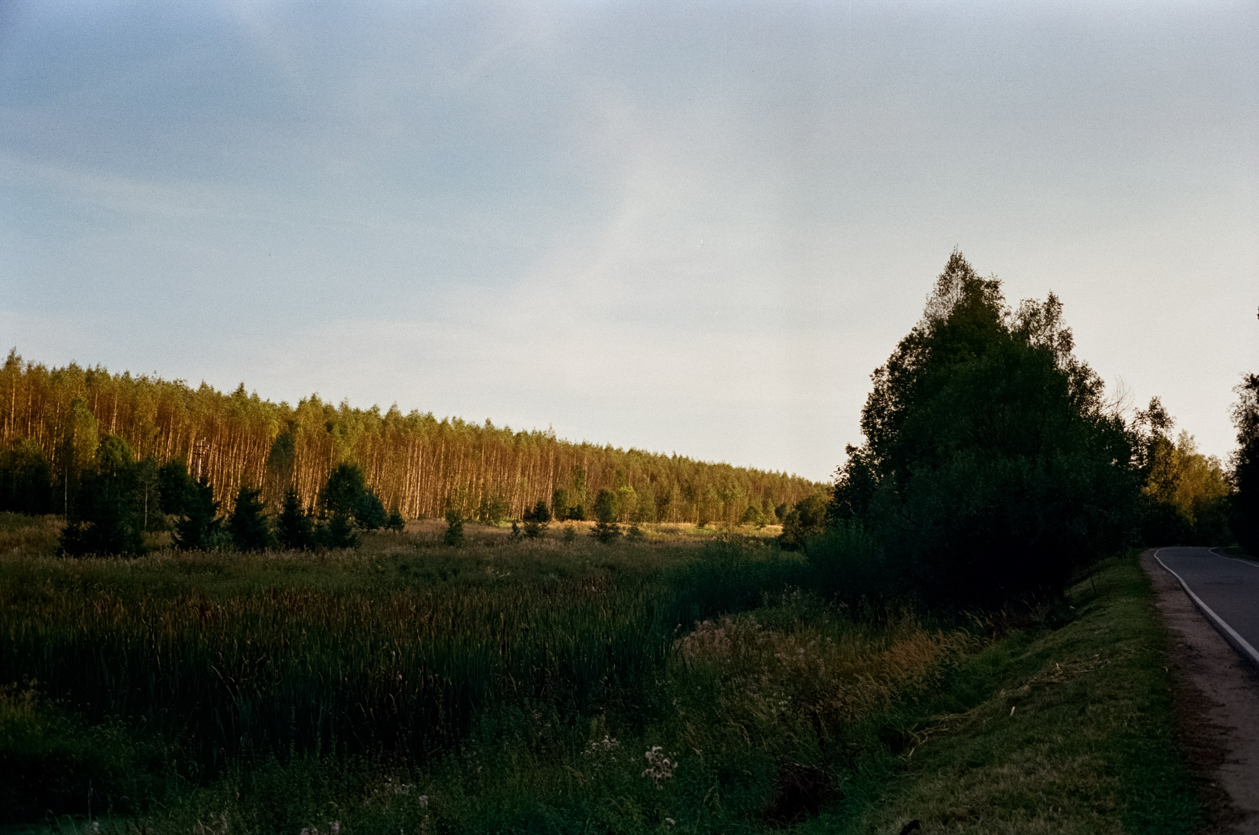 Minolta Hi-Matic 7SII примеры фотографий