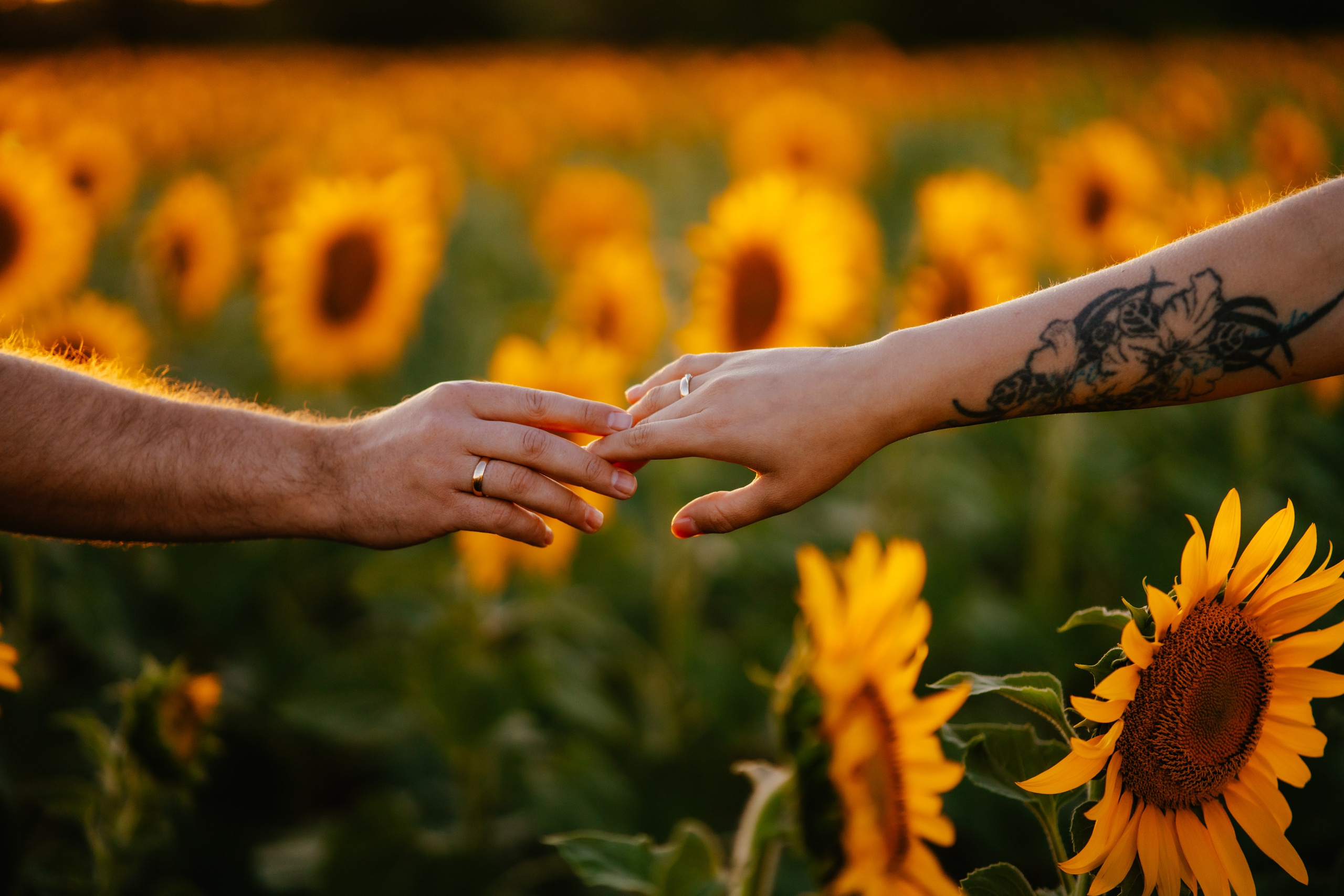 Мария и Дмитрий. Ольга Плаксина фотограф в Саратове