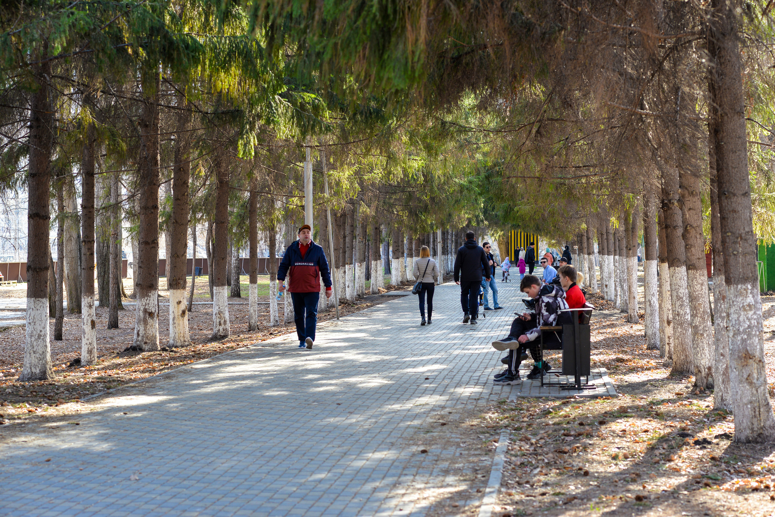 ЦПКиО 2022. Выпускные фотоальбомы. Фотограф в детских садах и школах г. Кургана