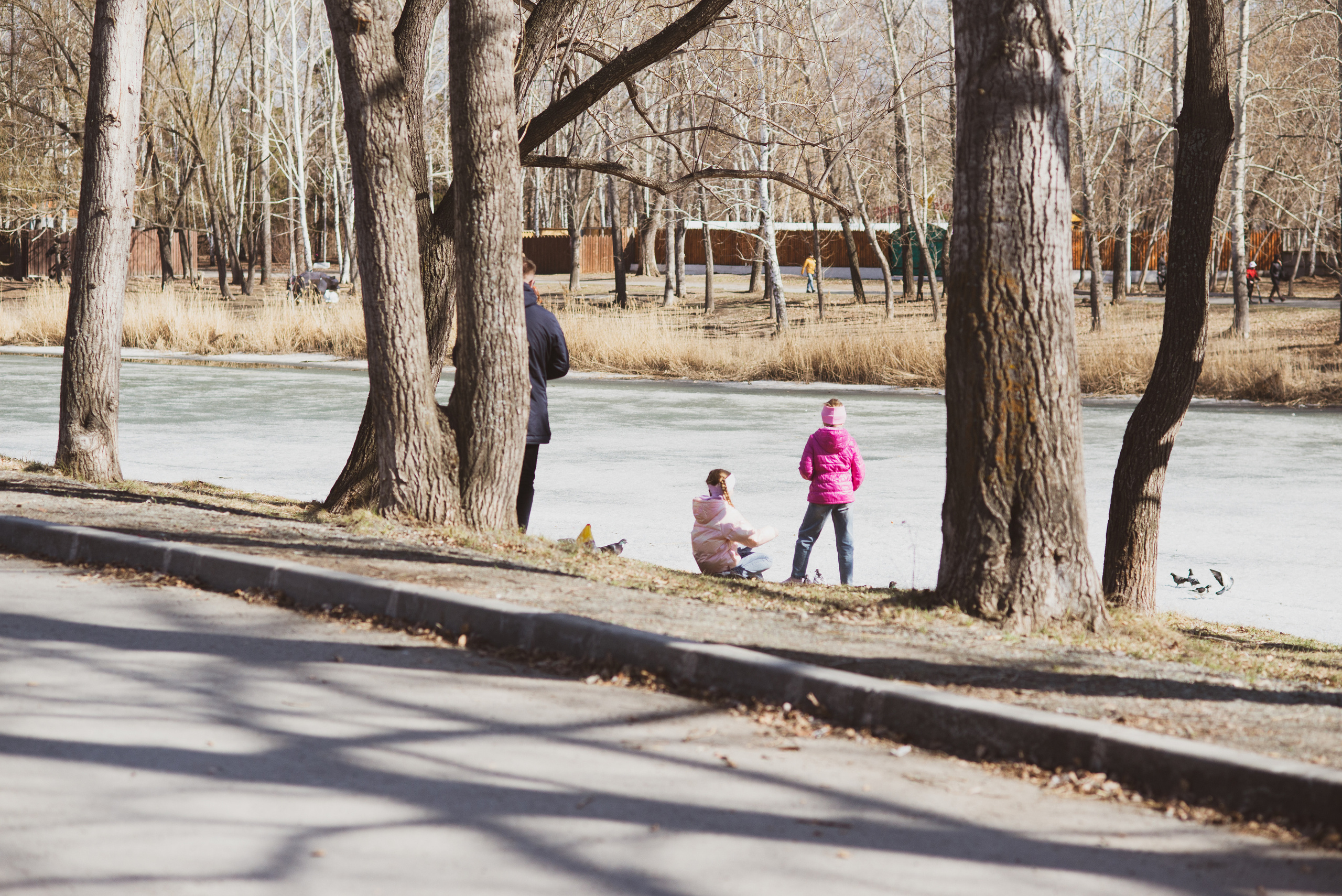 ЦПКиО 2022. Выпускные фотоальбомы. Фотограф в детских садах и школах г. Кургана