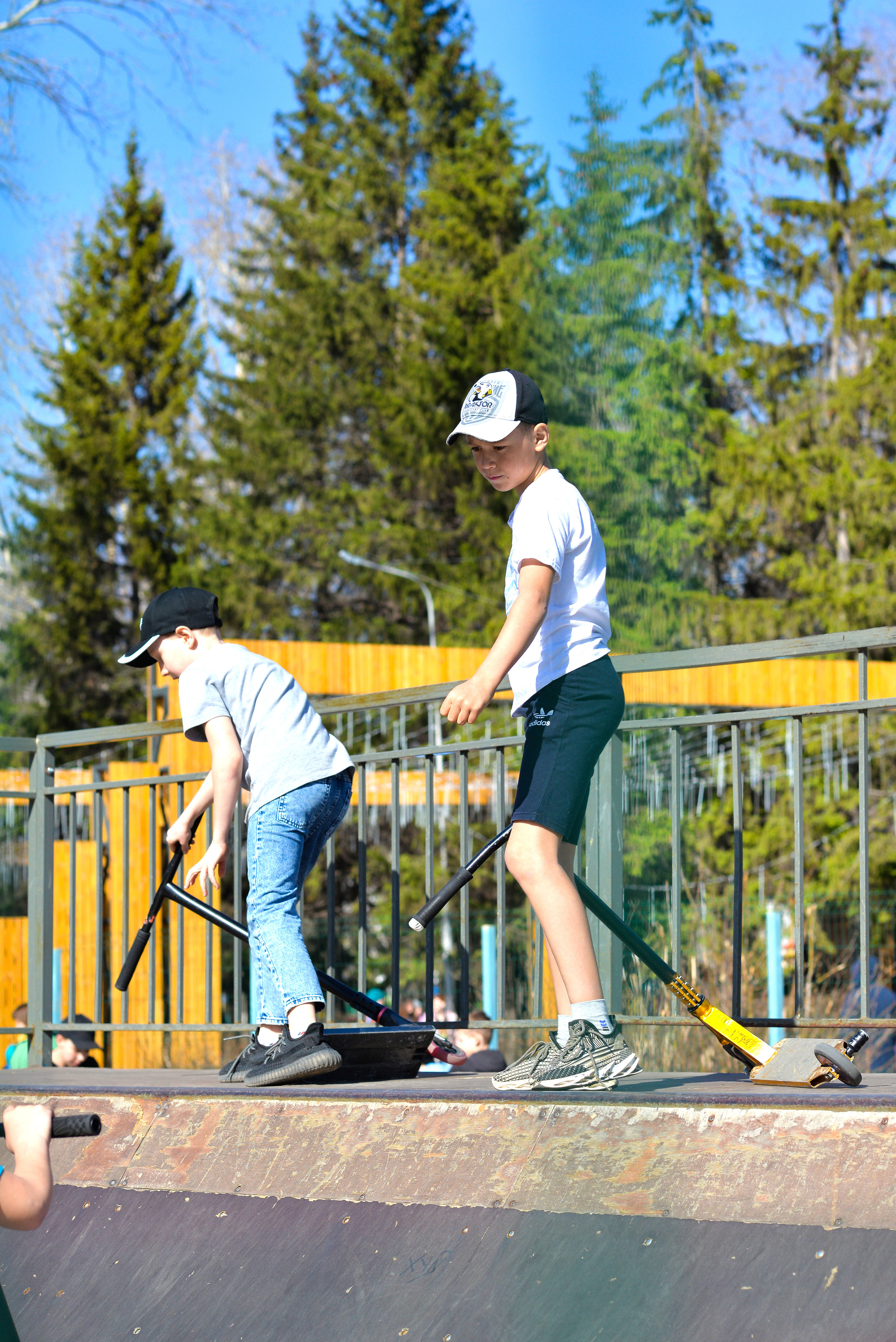 ЦПКиО 2022. Выпускные фотоальбомы. Фотограф в детских садах и школах г. Кургана