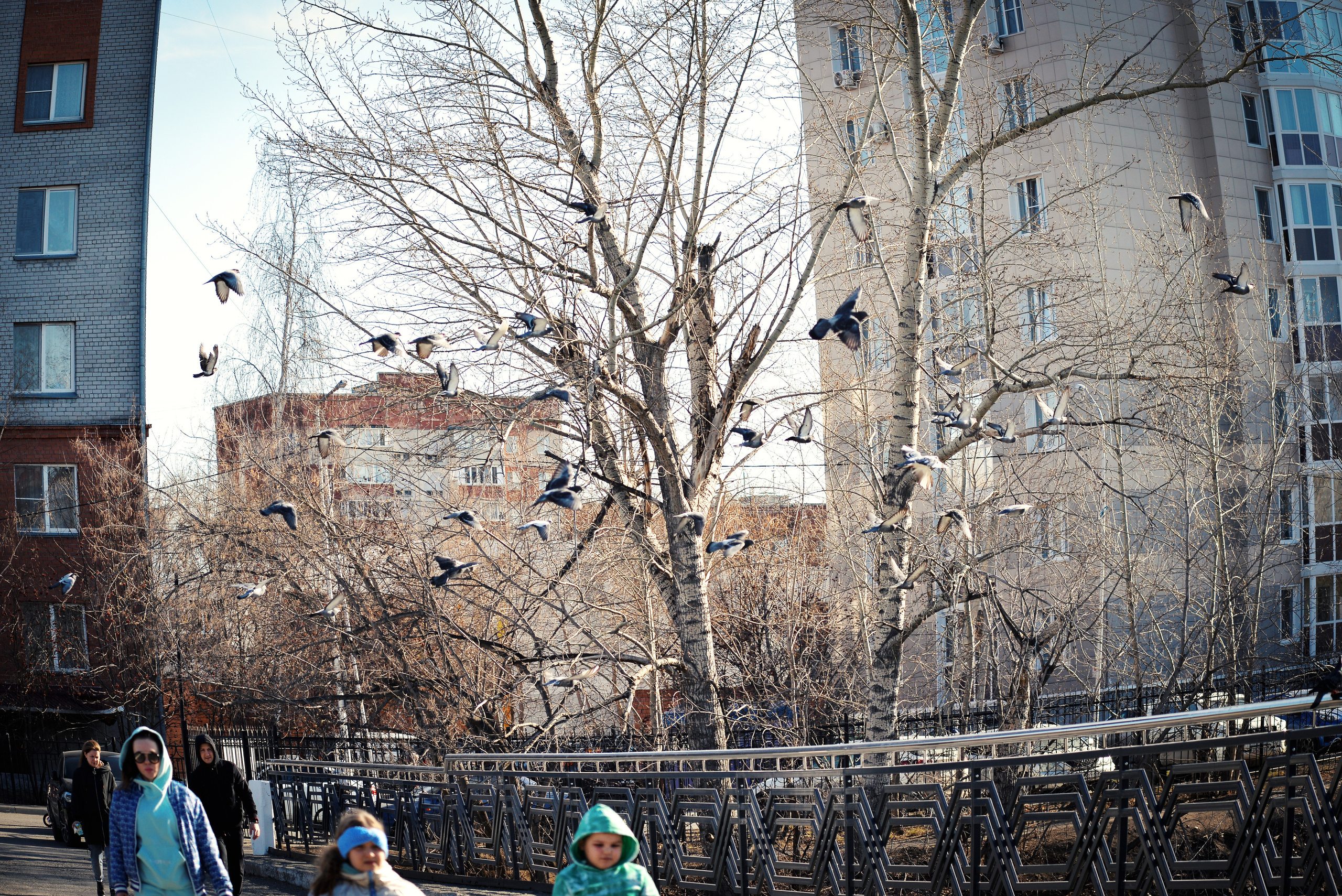 ЦПКиО 2022. Выпускные фотоальбомы. Фотограф в детских садах и школах г. Кургана