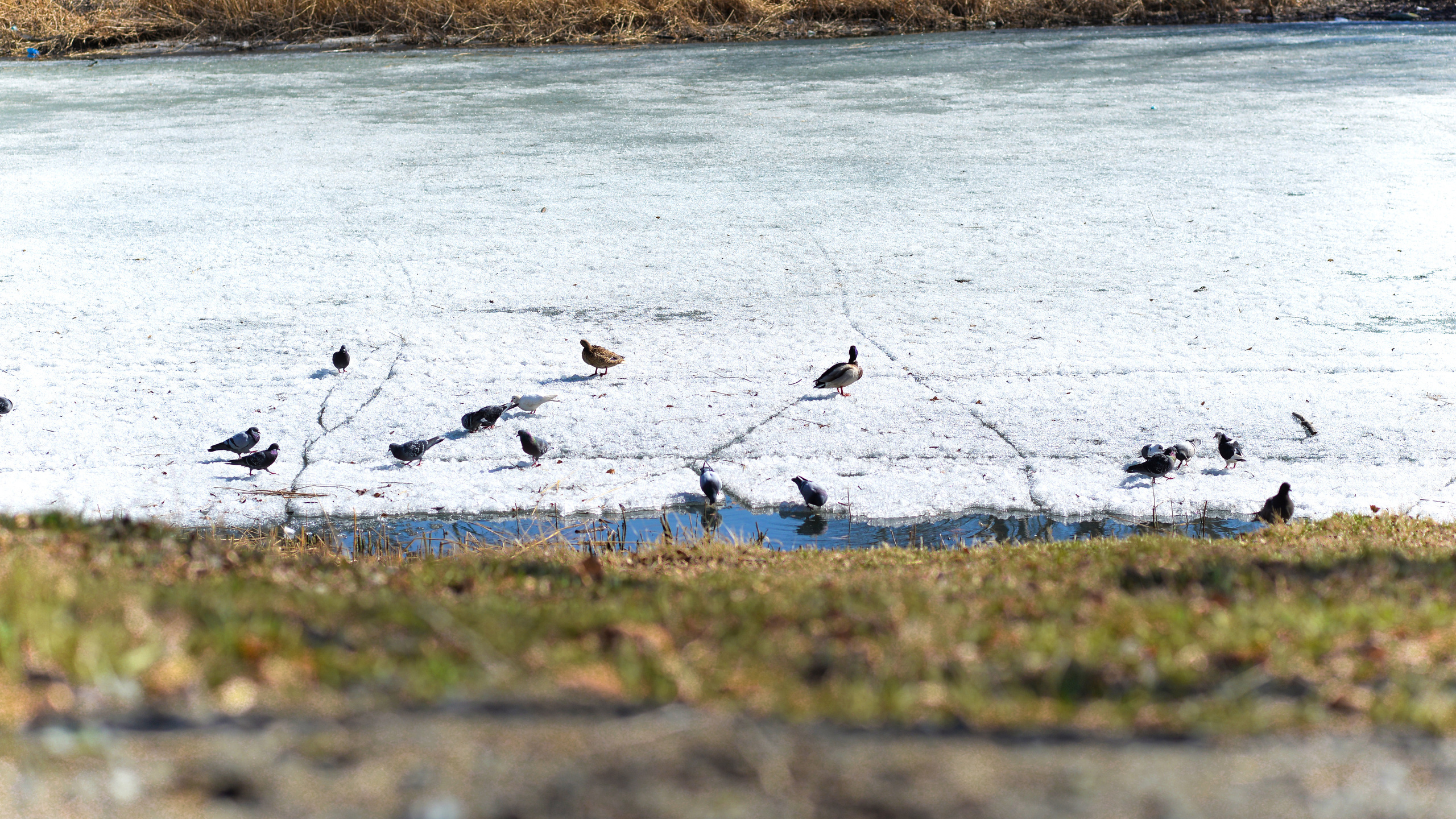 ЦПКиО 2022. Выпускные фотоальбомы. Фотограф в детских садах и школах г. Кургана