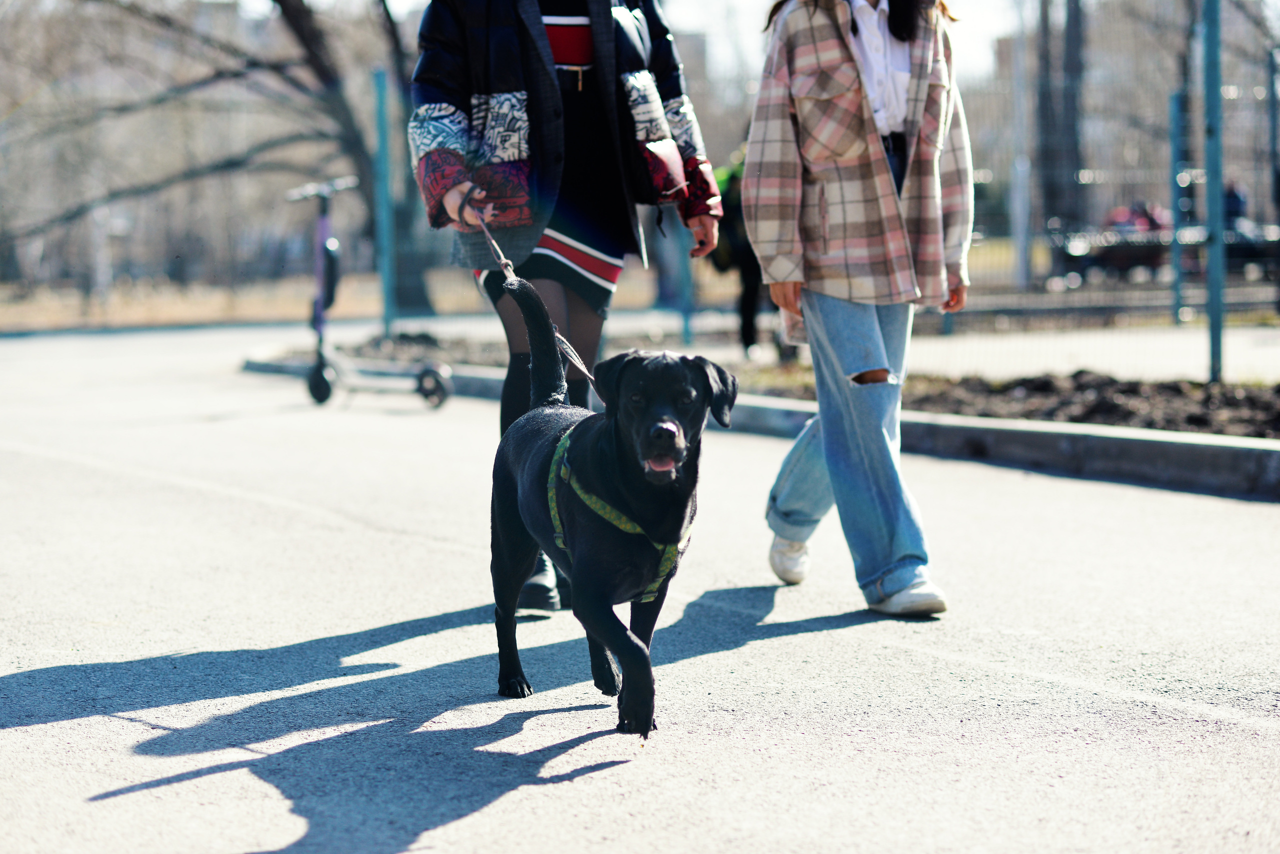 ЦПКиО 2022. Выпускные фотоальбомы. Фотограф в детских садах и школах г. Кургана