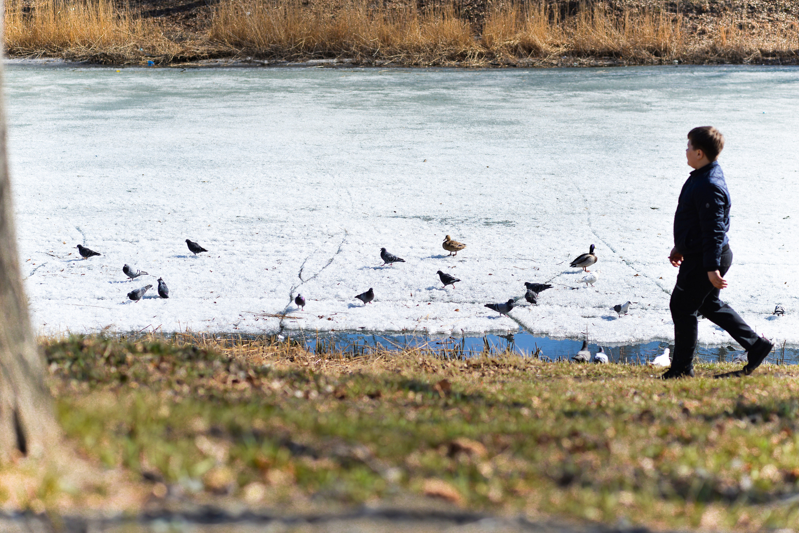 ЦПКиО 2022. Выпускные фотоальбомы. Фотограф в детских садах и школах г. Кургана