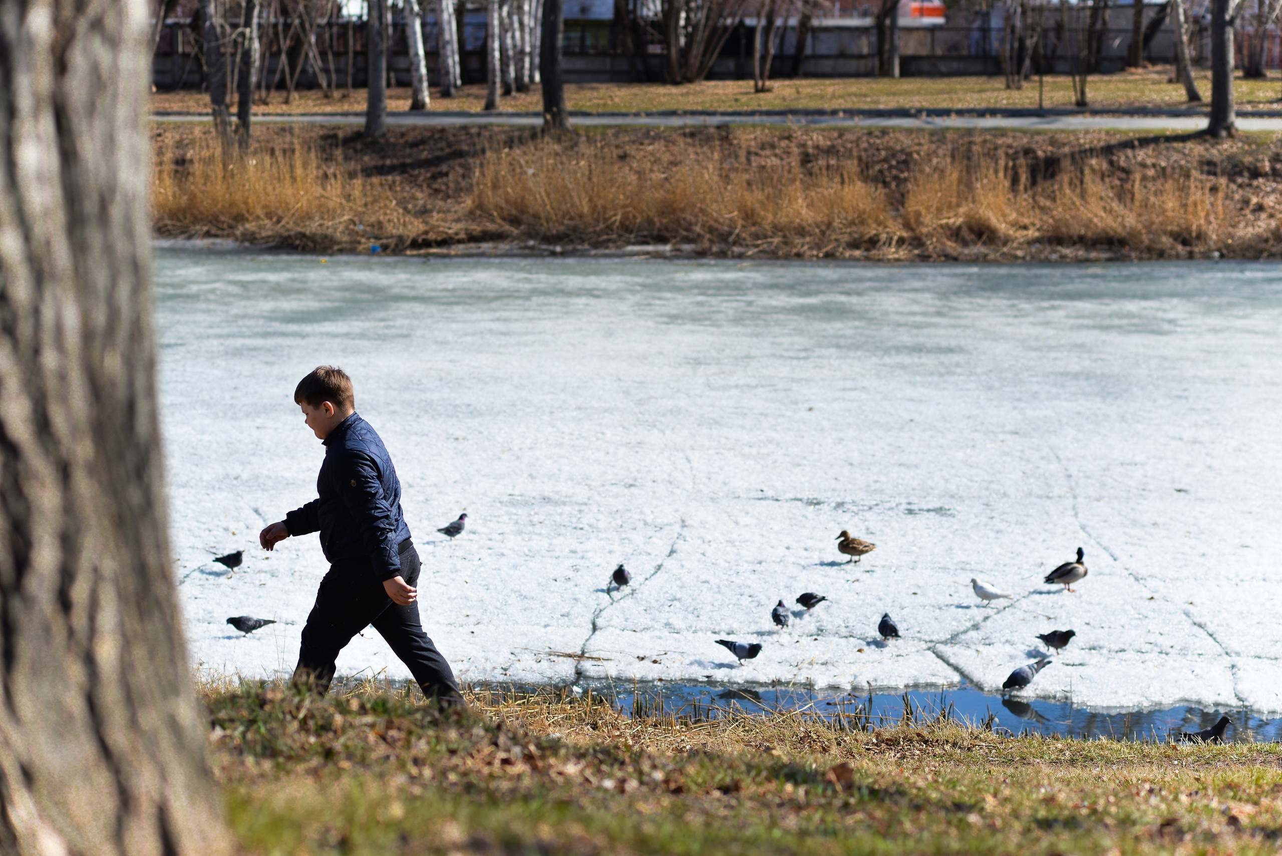 ЦПКиО 2022. Выпускные фотоальбомы. Фотограф в детских садах и школах г. Кургана