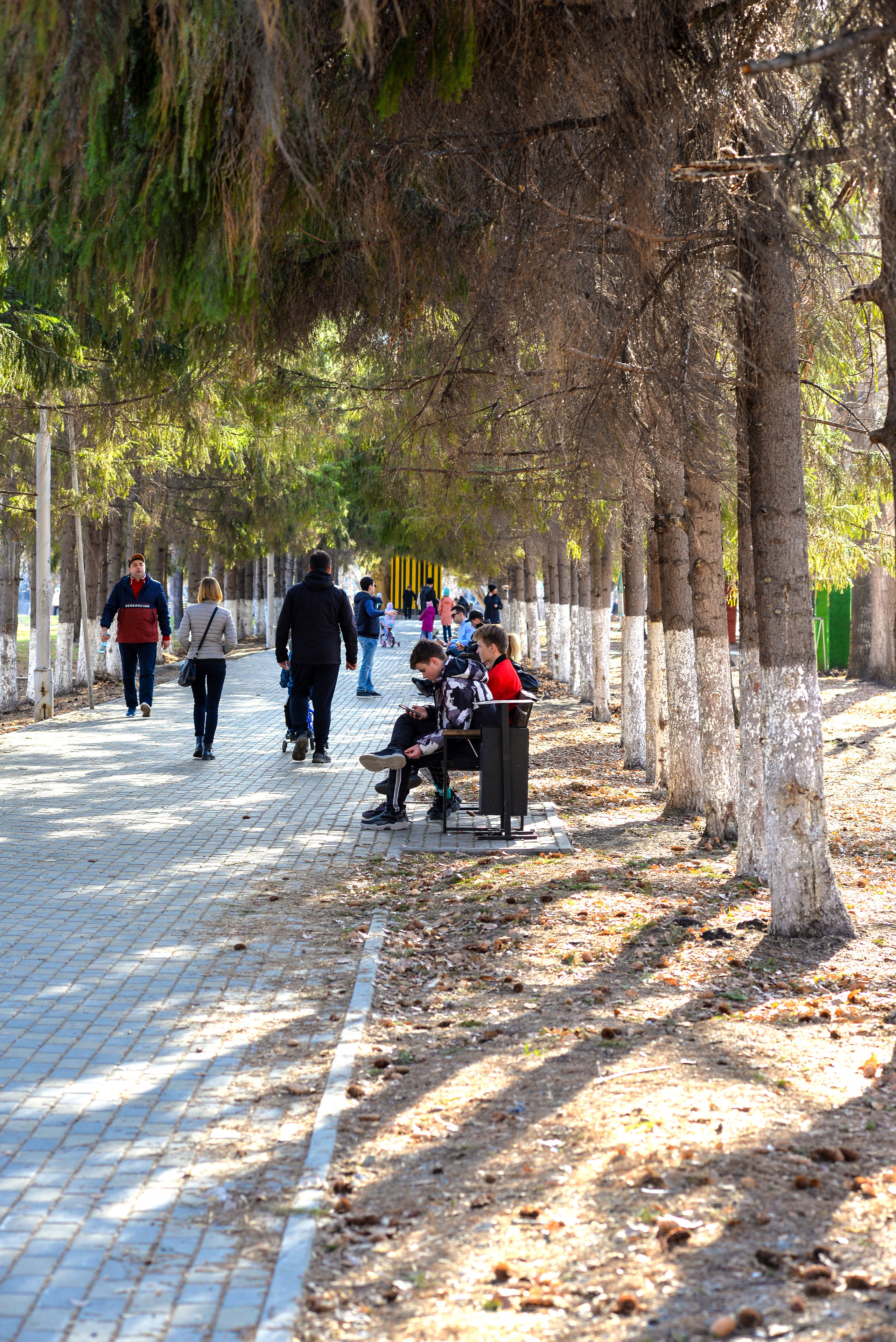 ЦПКиО 2022. Выпускные фотоальбомы. Фотограф в детских садах и школах г. Кургана