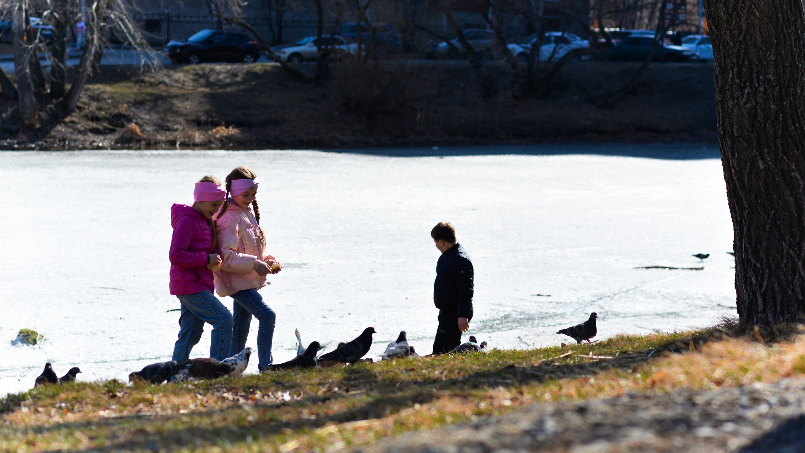 ЦПКиО 2022. Выпускные фотоальбомы. Фотограф в детских садах и школах г. Кургана
