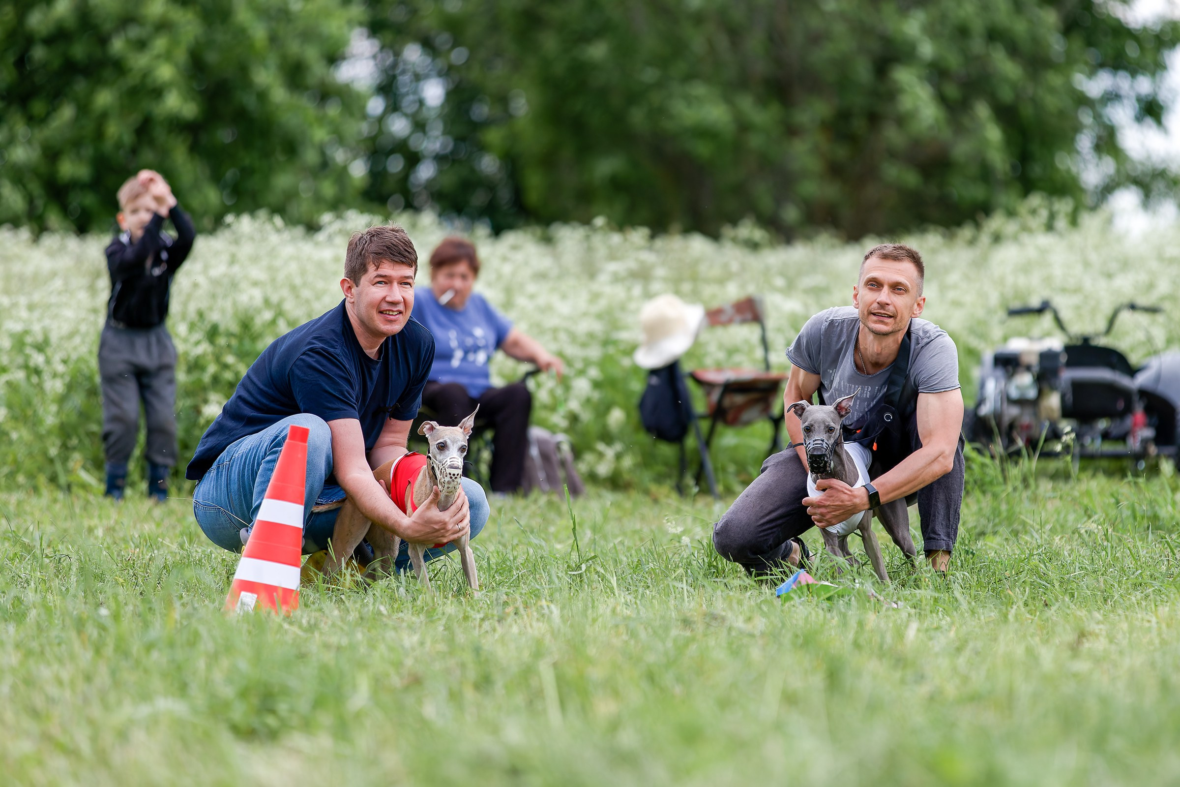 Чемпионат по курсингу июнь 2026. Irenephoto.ru