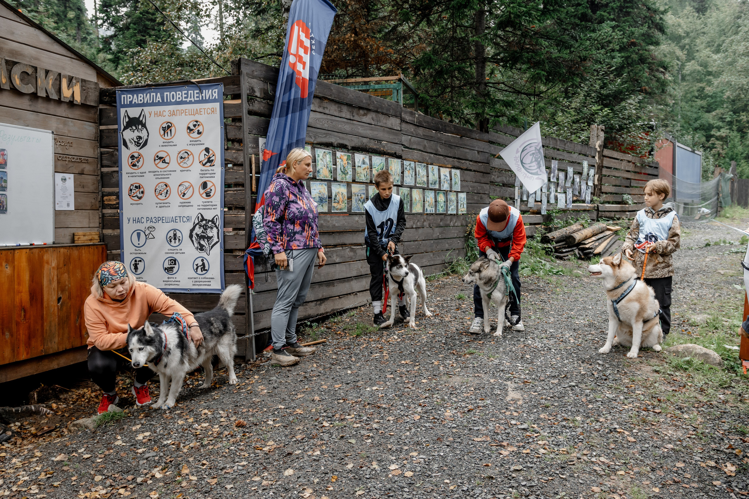 Дог-треккинг