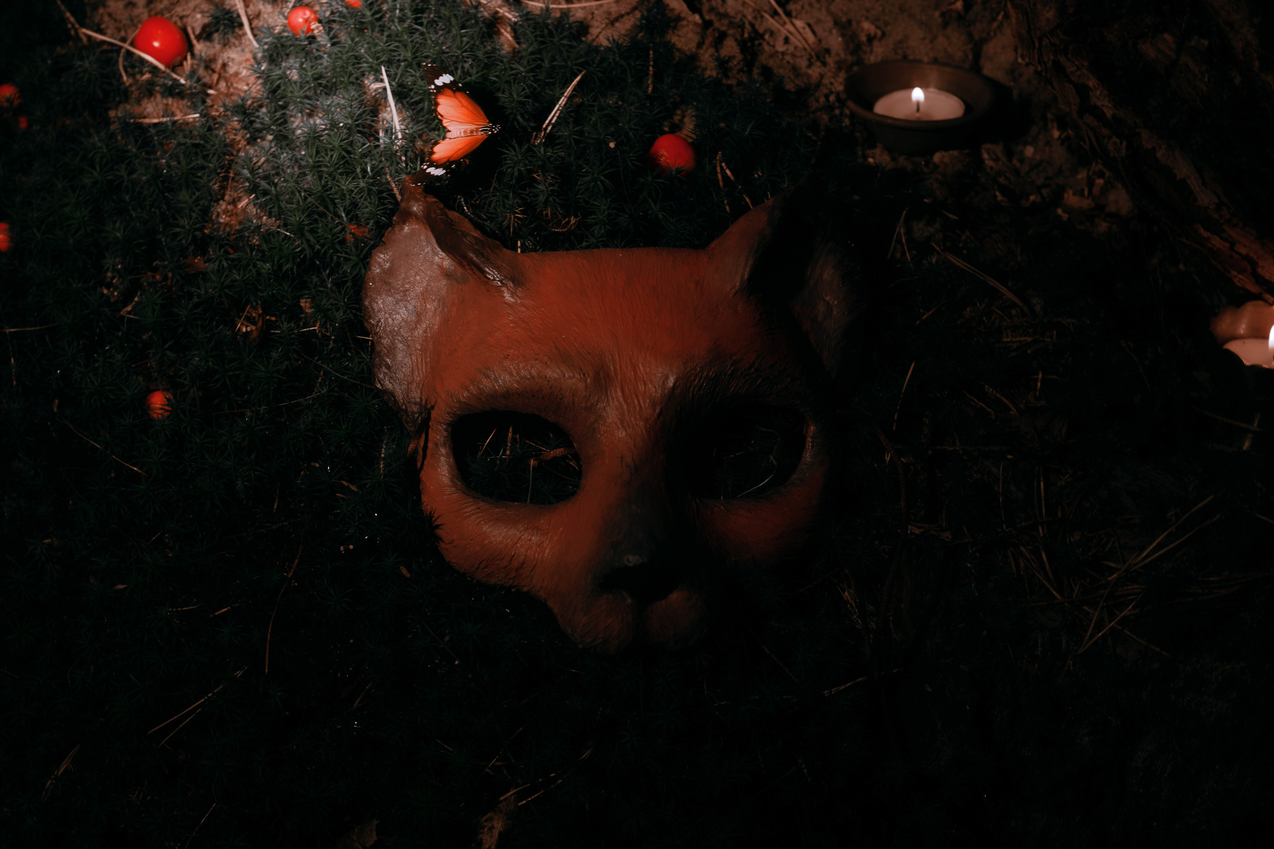 Огненная Лисица