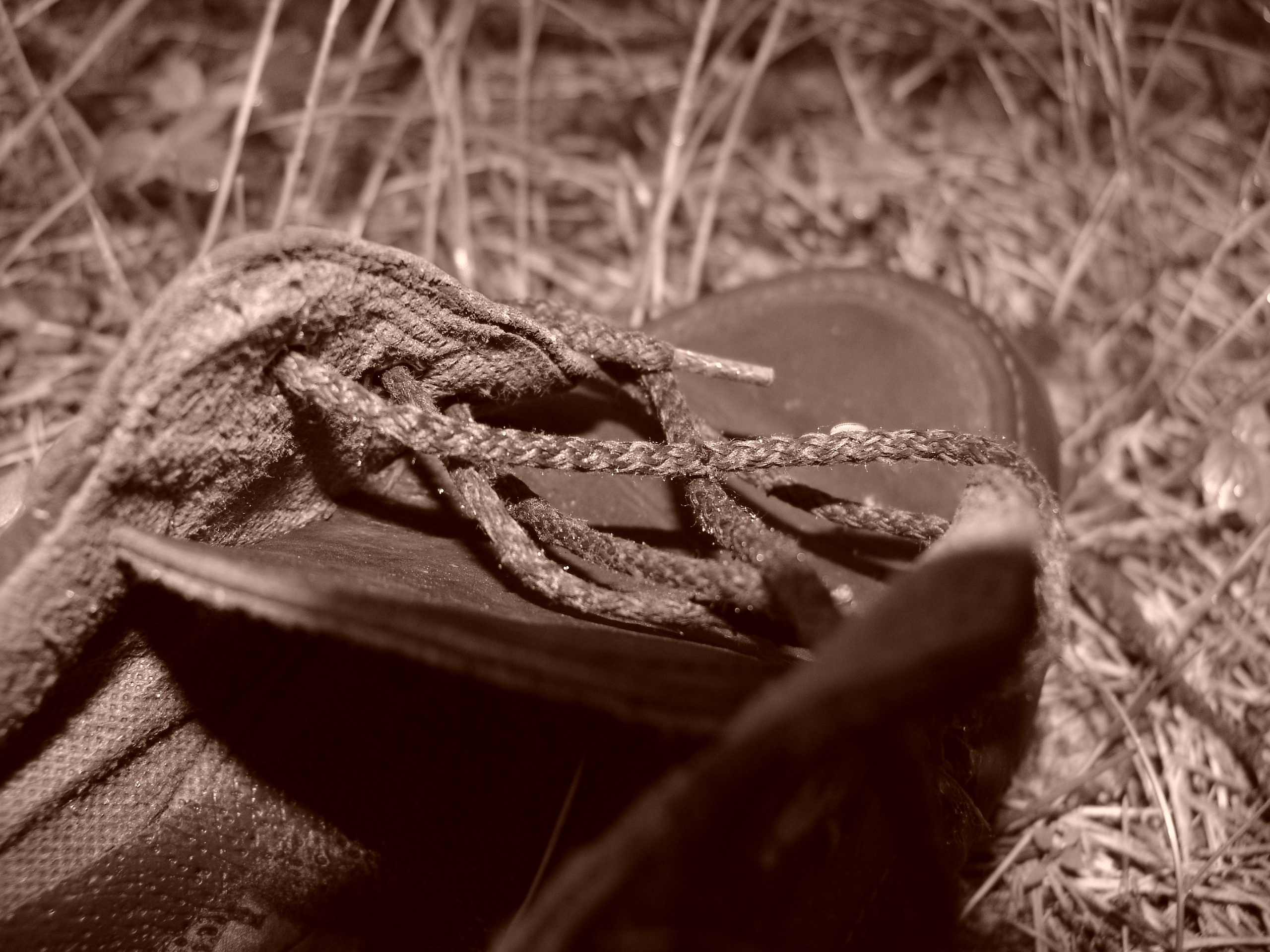 Приезд КС 2005. Заставка