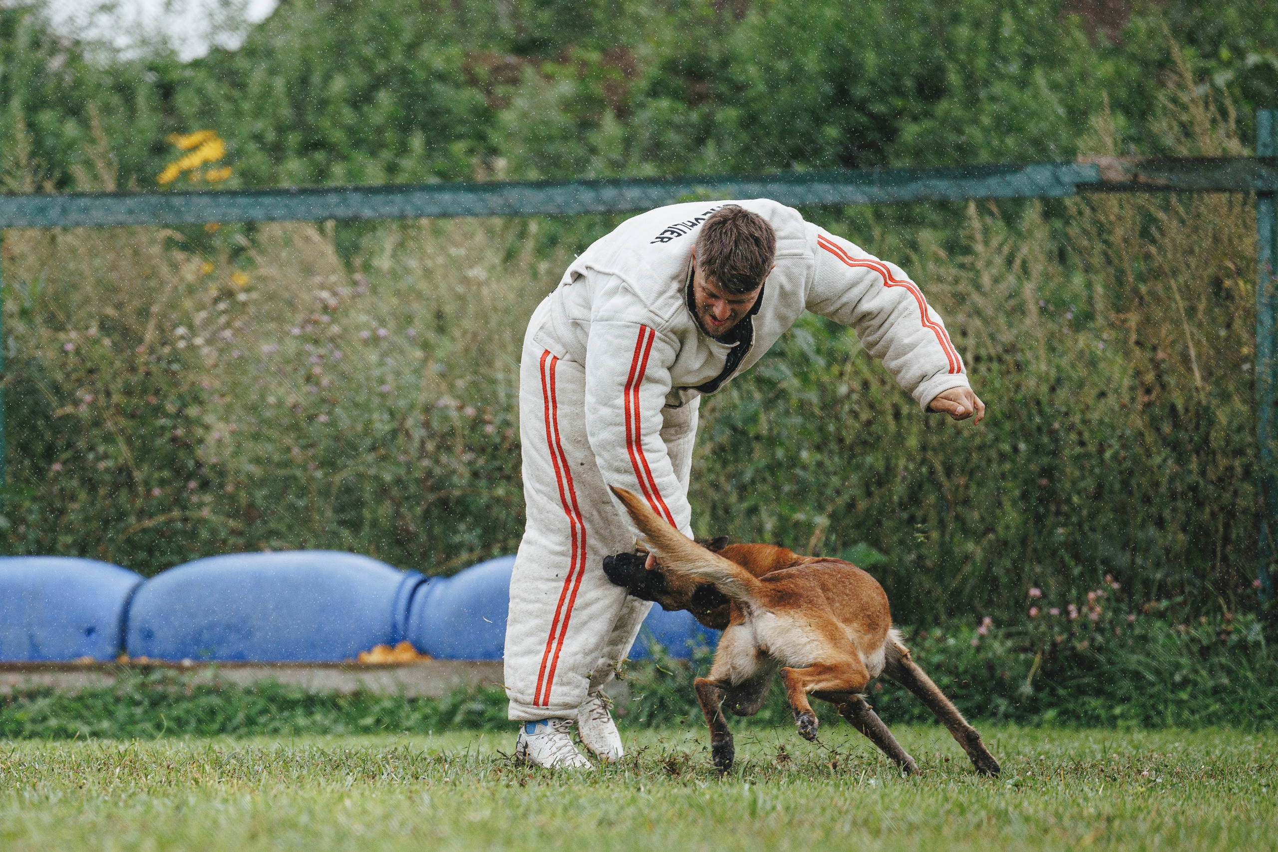 08.08.25-10.08.25 ЧР по мондьорингу г. Вологда. Фотограф-анималист Анна Маринич