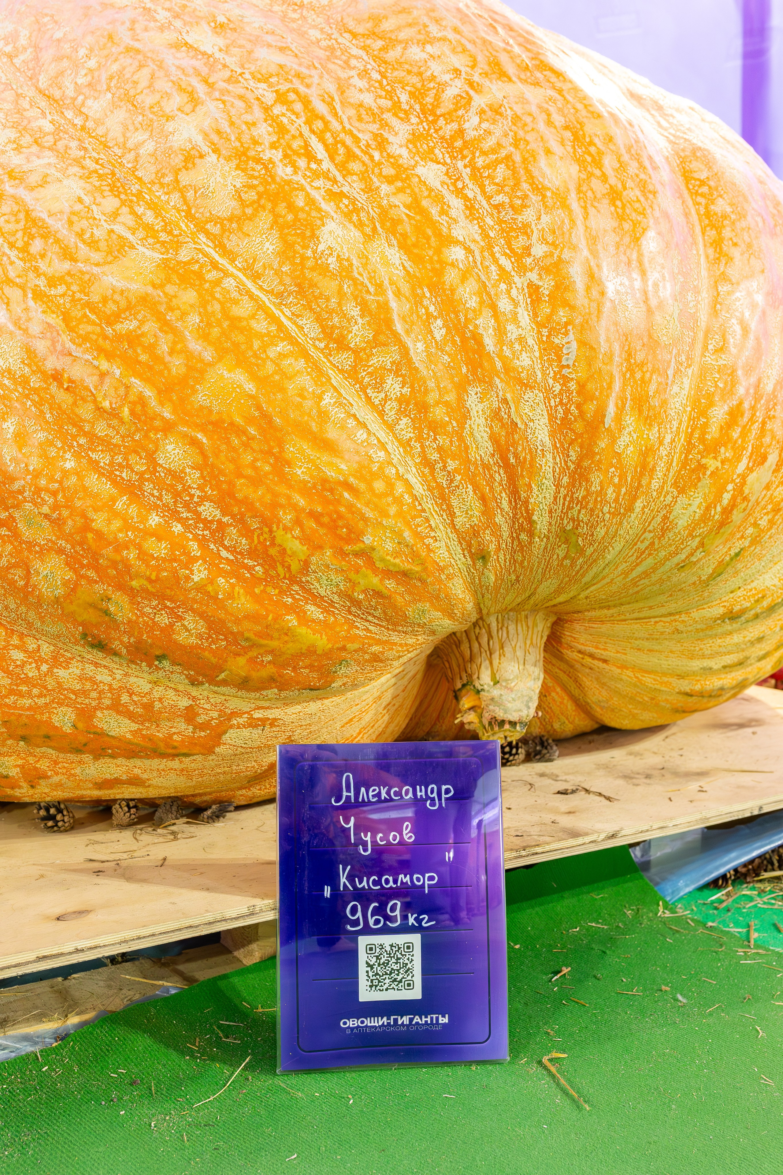 Овощи-гиганты. Александра Куликова фотограф, Москва