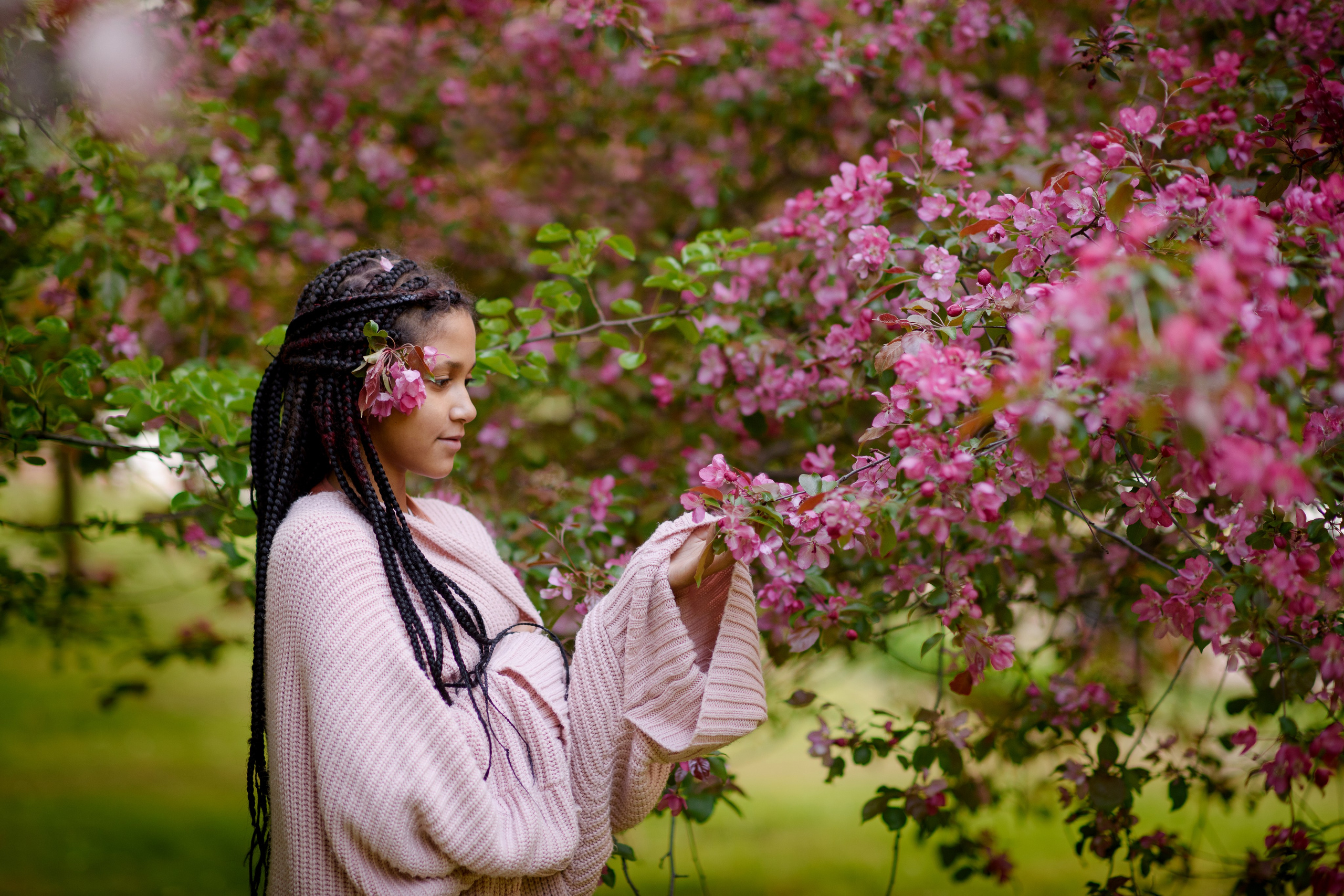 Яблони в Коломенском. Ясмина. Главная