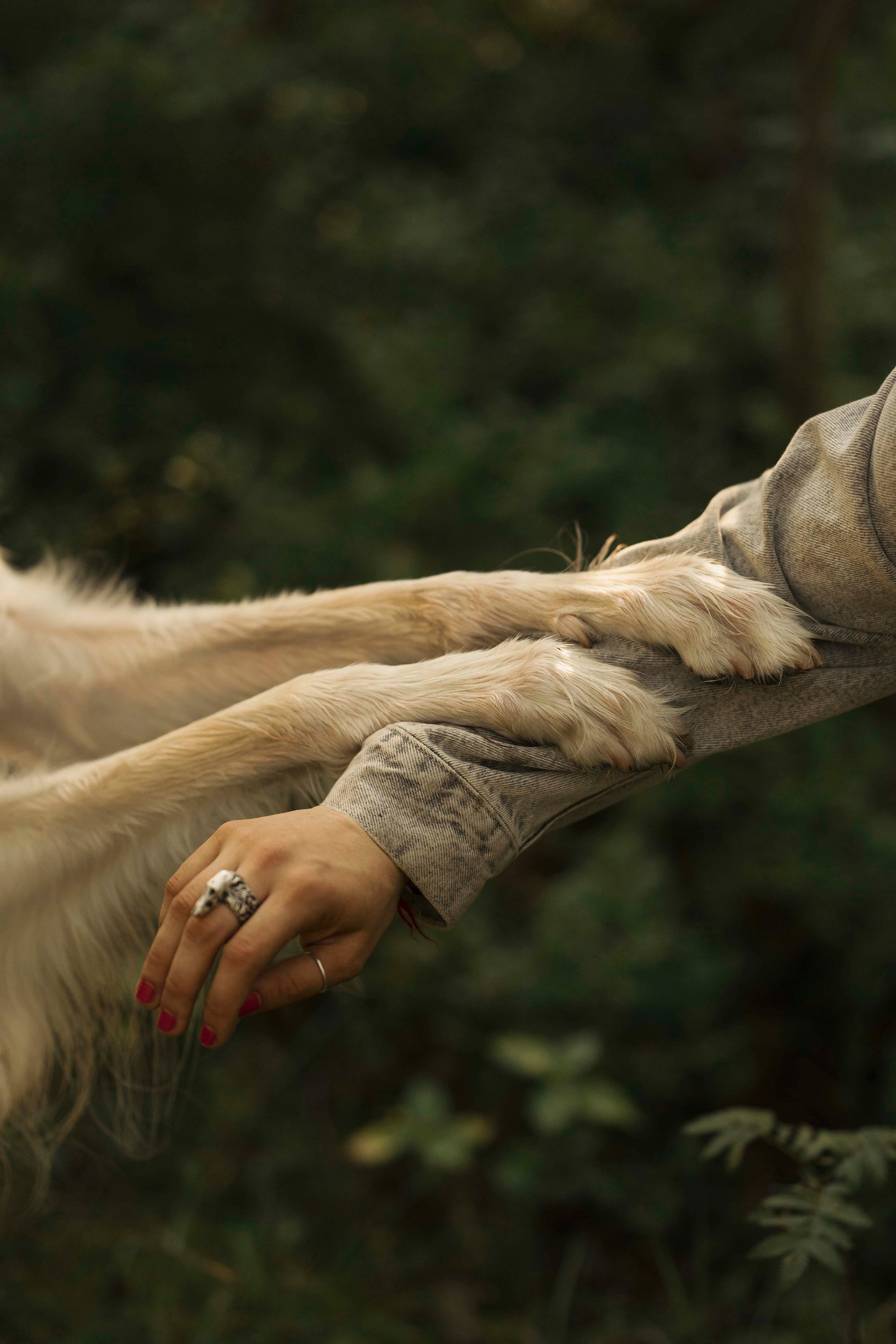 Тайга. Фотограф- анималист Александра Матвеева