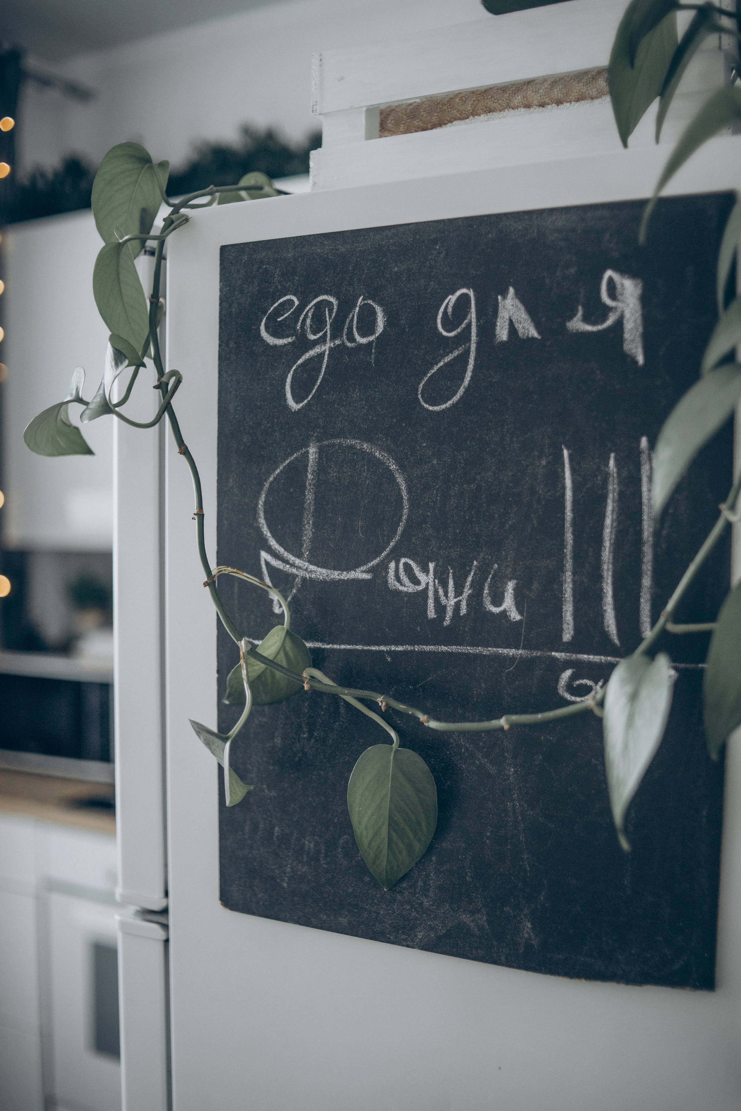 Наташа, Степан и Даня. Семейный фотограф и фотограф на роды в Ростове-на-Дону Мухина Виктория
