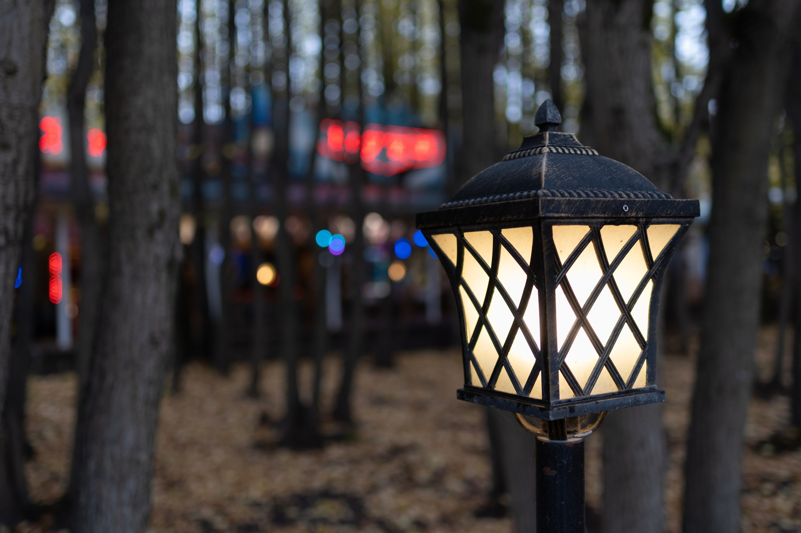 20241026 Сокольники. Дмитрий Ремизов. Фотография, как хобби