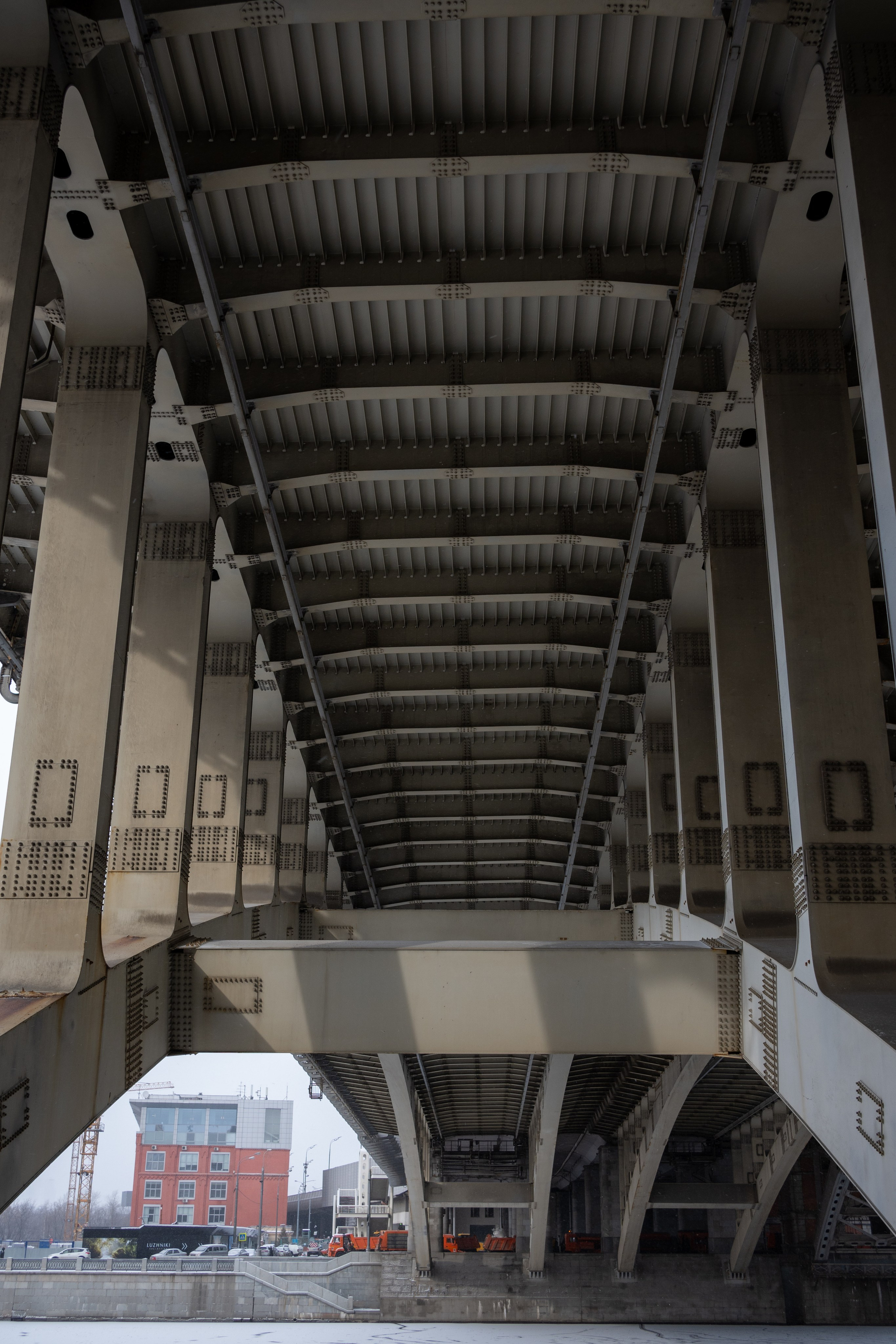 20250216 Нескучный сад. Дмитрий Ремизов. Фотография, как хобби