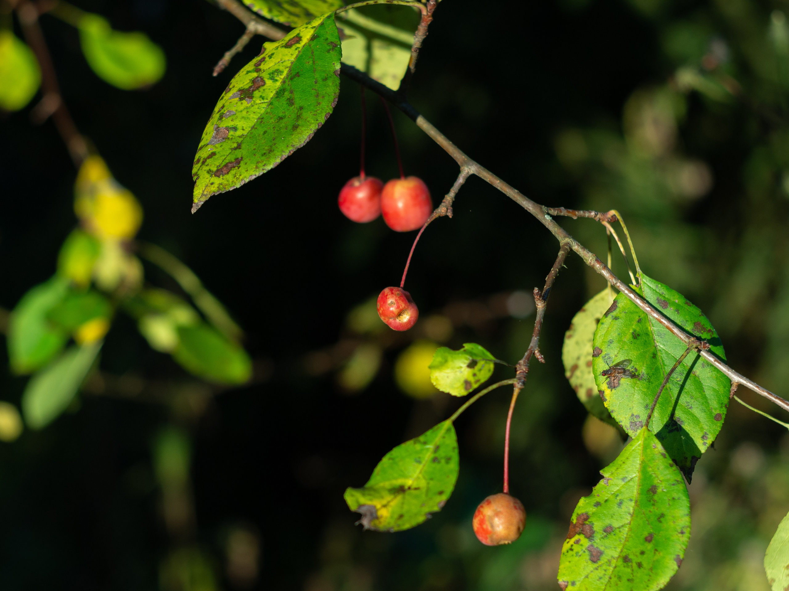20230923-25 Родники. Дмитрий Ремизов. Фотография, как хобби