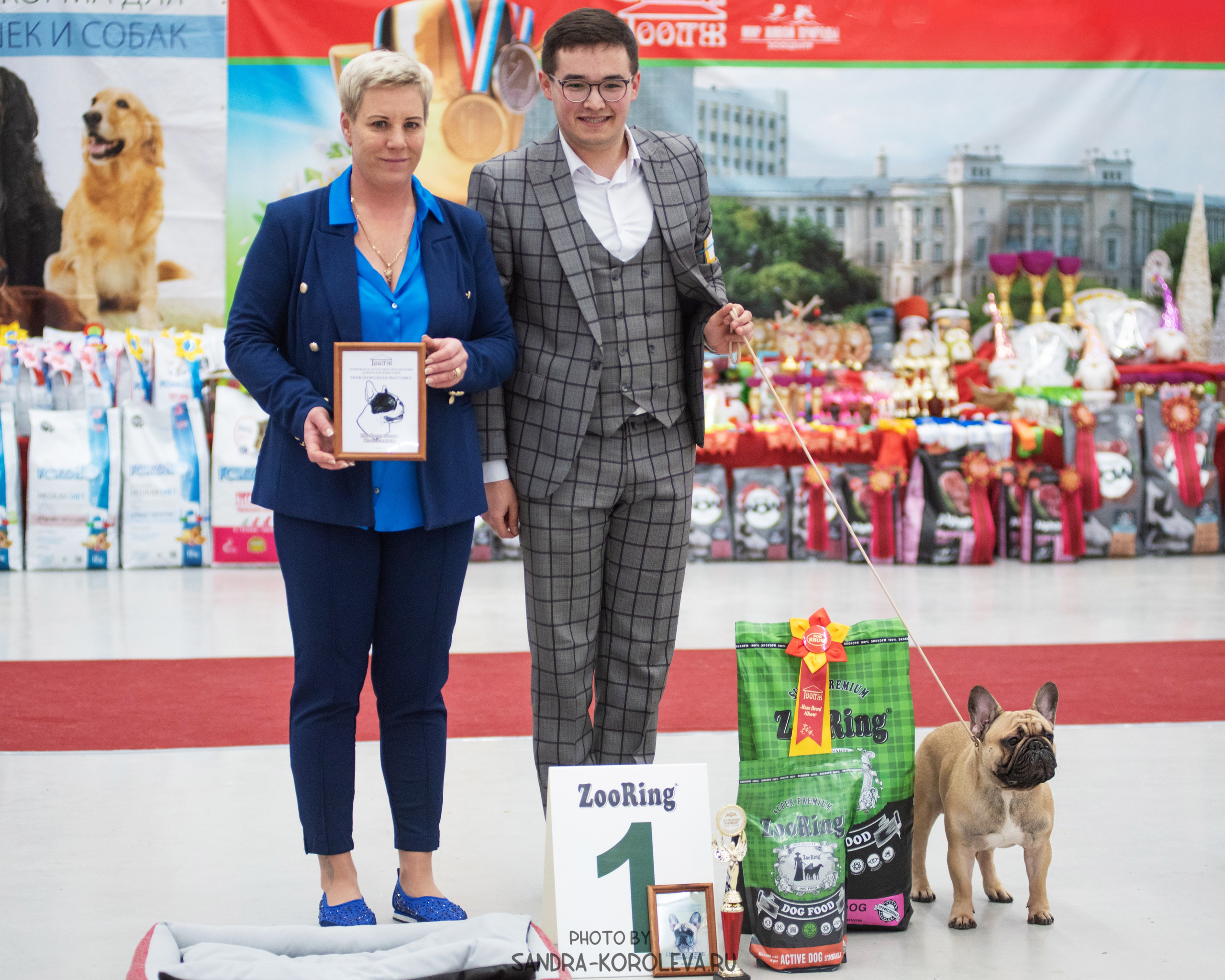 Выставка собак тюмень 10.12.2022. Дог-фотограф в Тюмени Александра Королева