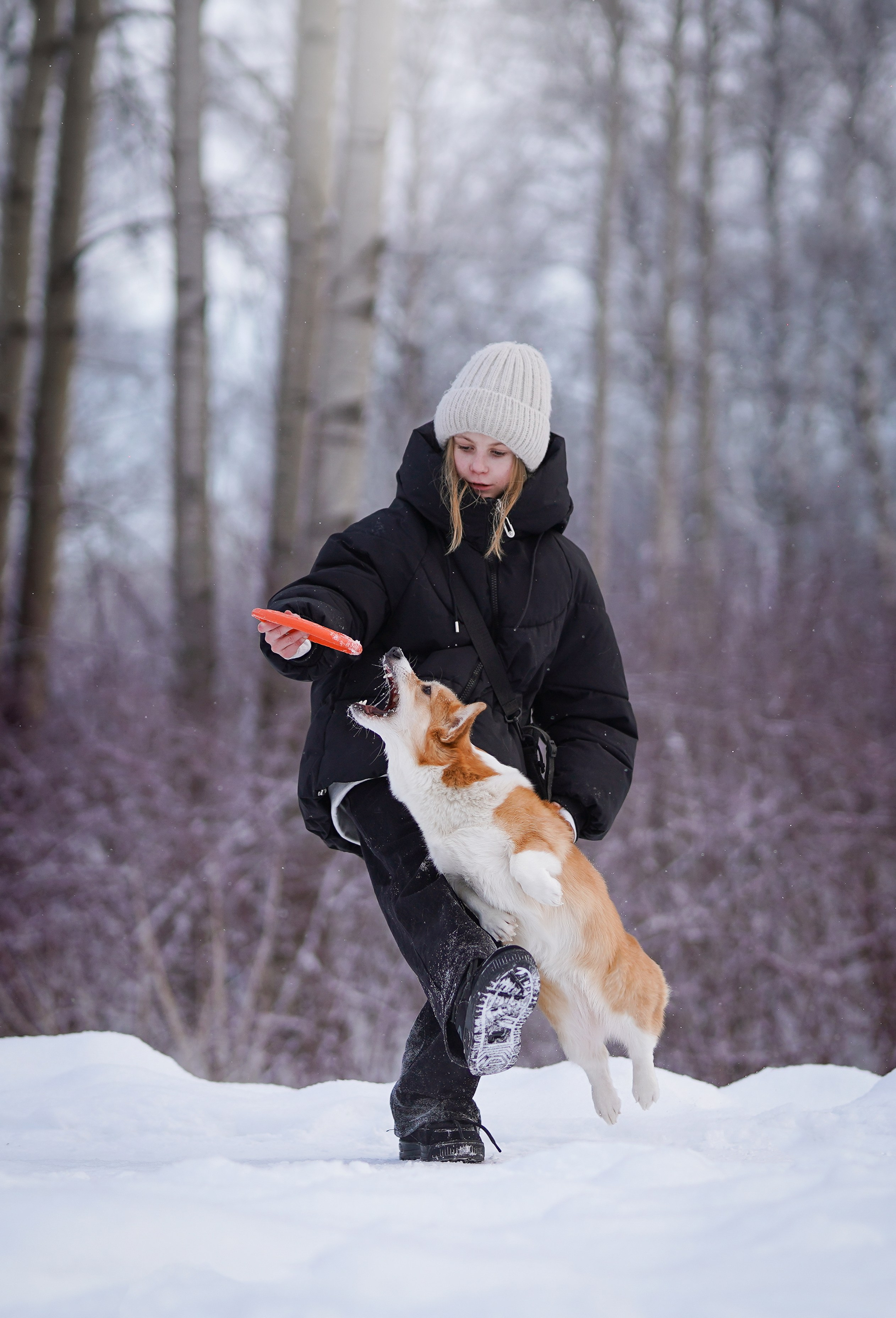 Кристина и Лаки. Фотограф-анималист в Санкт-Петербурге Яна Мартынова