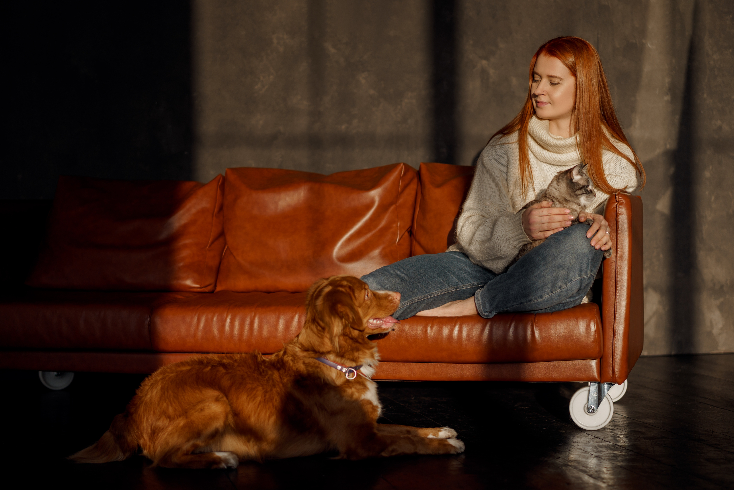 Фотосессии с вашими любимцами. Фотограф Артемьева Катерина|фотосессии с лошадьми