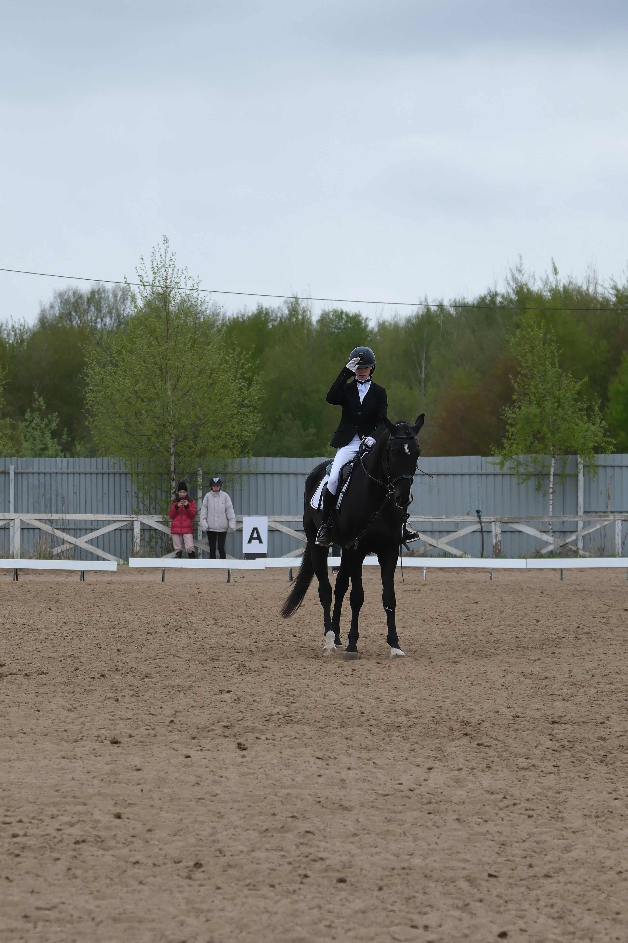 Соревнования по конному спорту в КСК «АЛЛЮР»!. Добро пожаловать в студию «Цифровой скульптор»  где искусство встречается с технологиями!