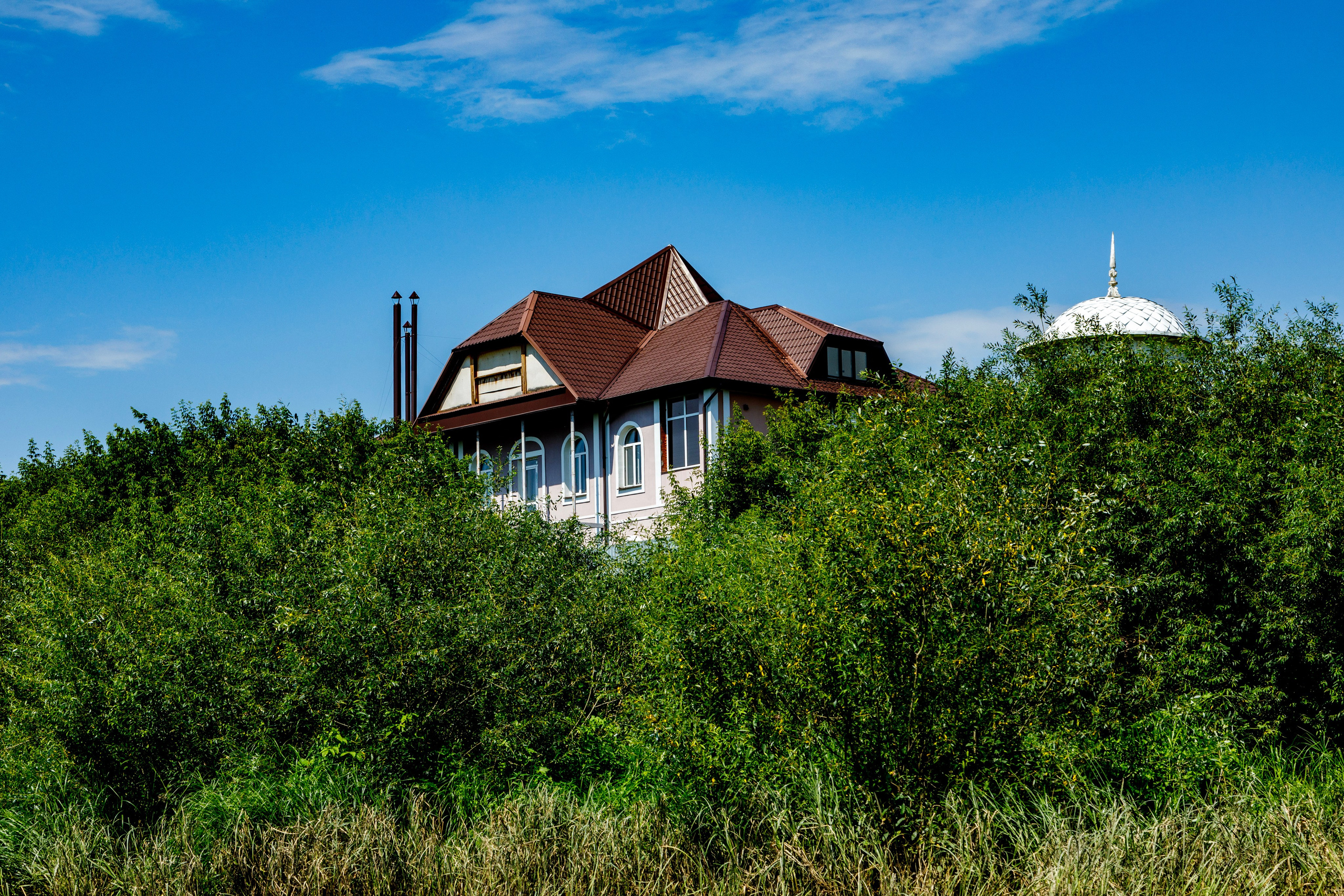 Прогулки по реке. Фотограф Андрей Гузеев