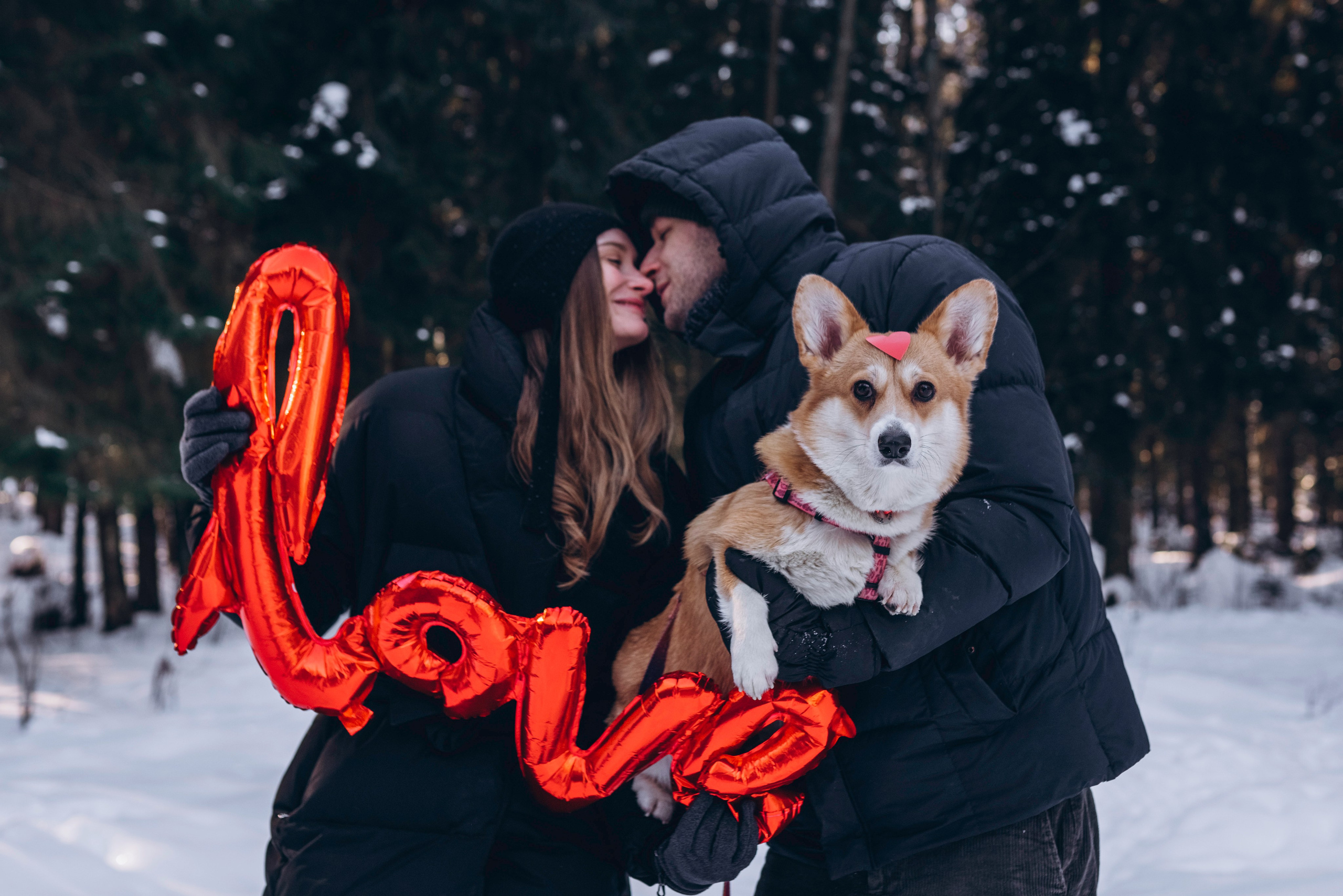 Фотодень Святого Валентина. Фотограф анималист в Спб недорого Олеся Майорова