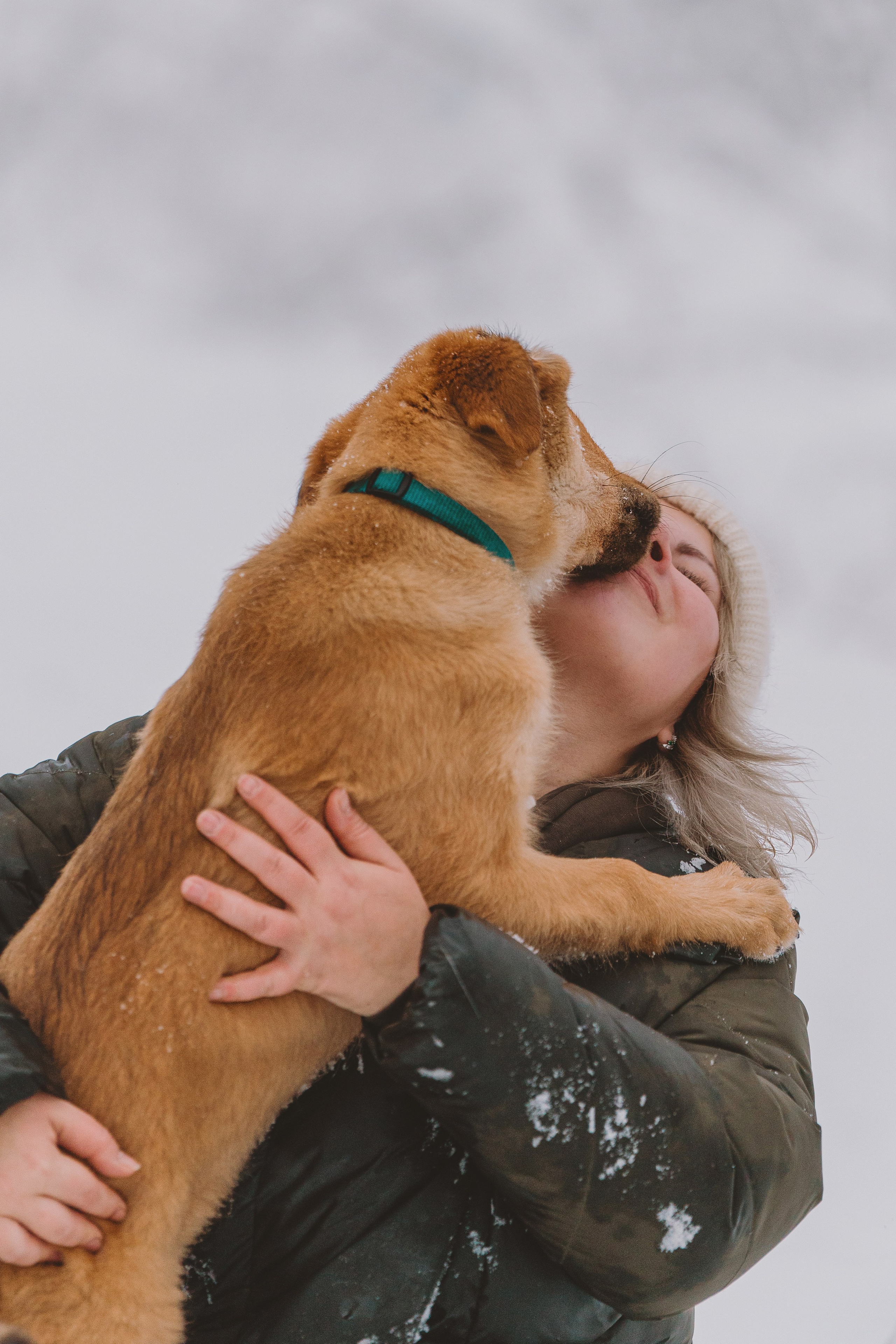 Фотосессия с питомцами на природе. Фотограф анималист в Спб недорого Олеся Майорова