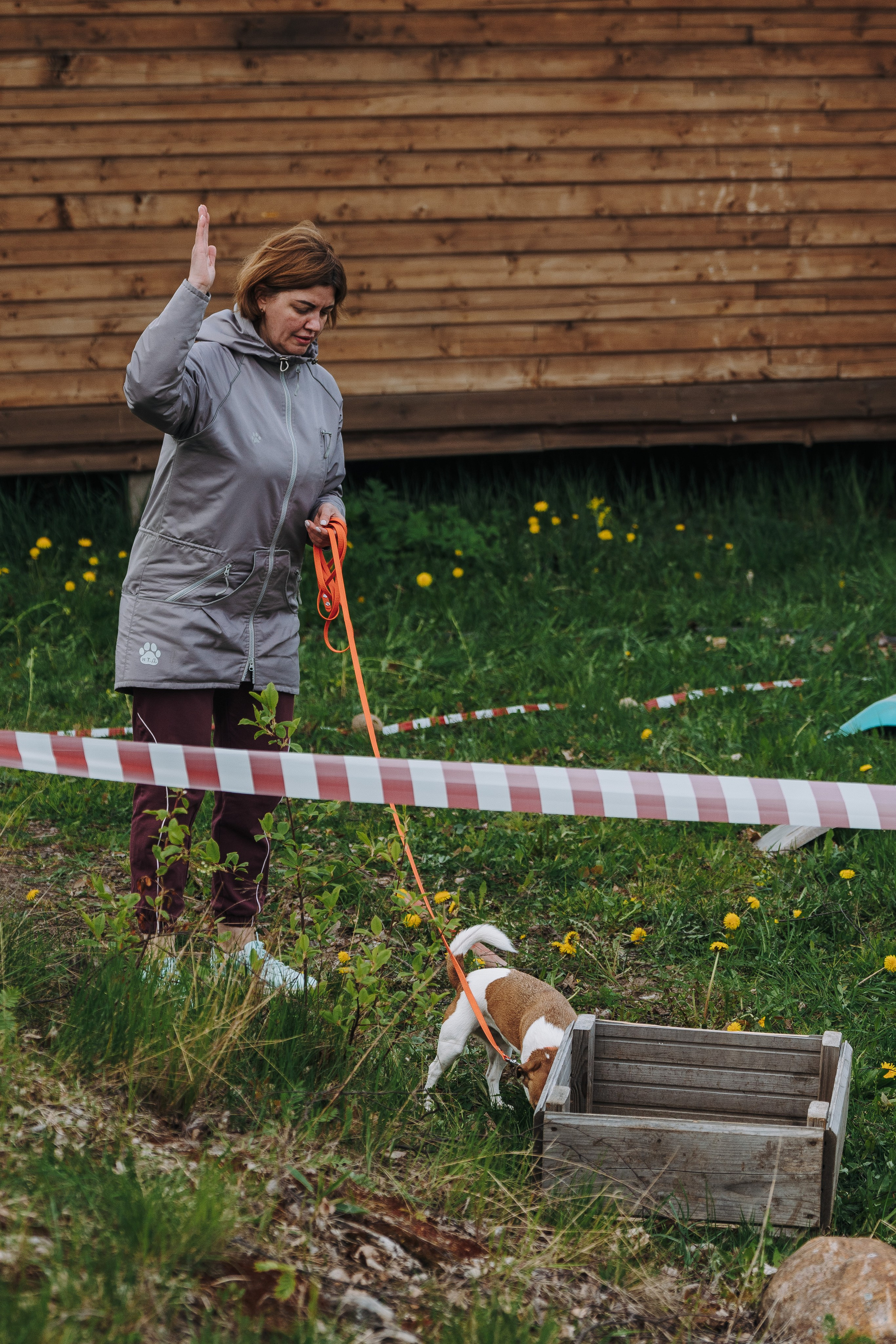 Соревнования по ноузворку в Лосево. Фотограф анималист в Спб недорого Олеся Майорова