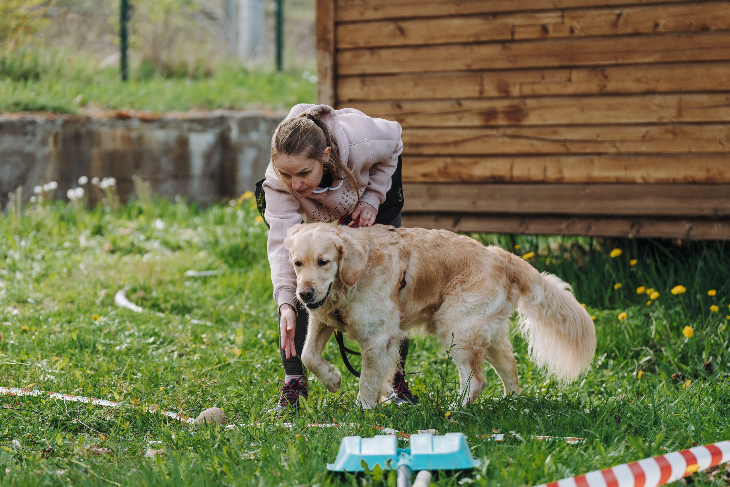 Соревнования по ноузворку в Лосево. Фотограф анималист в Спб недорого Олеся Майорова