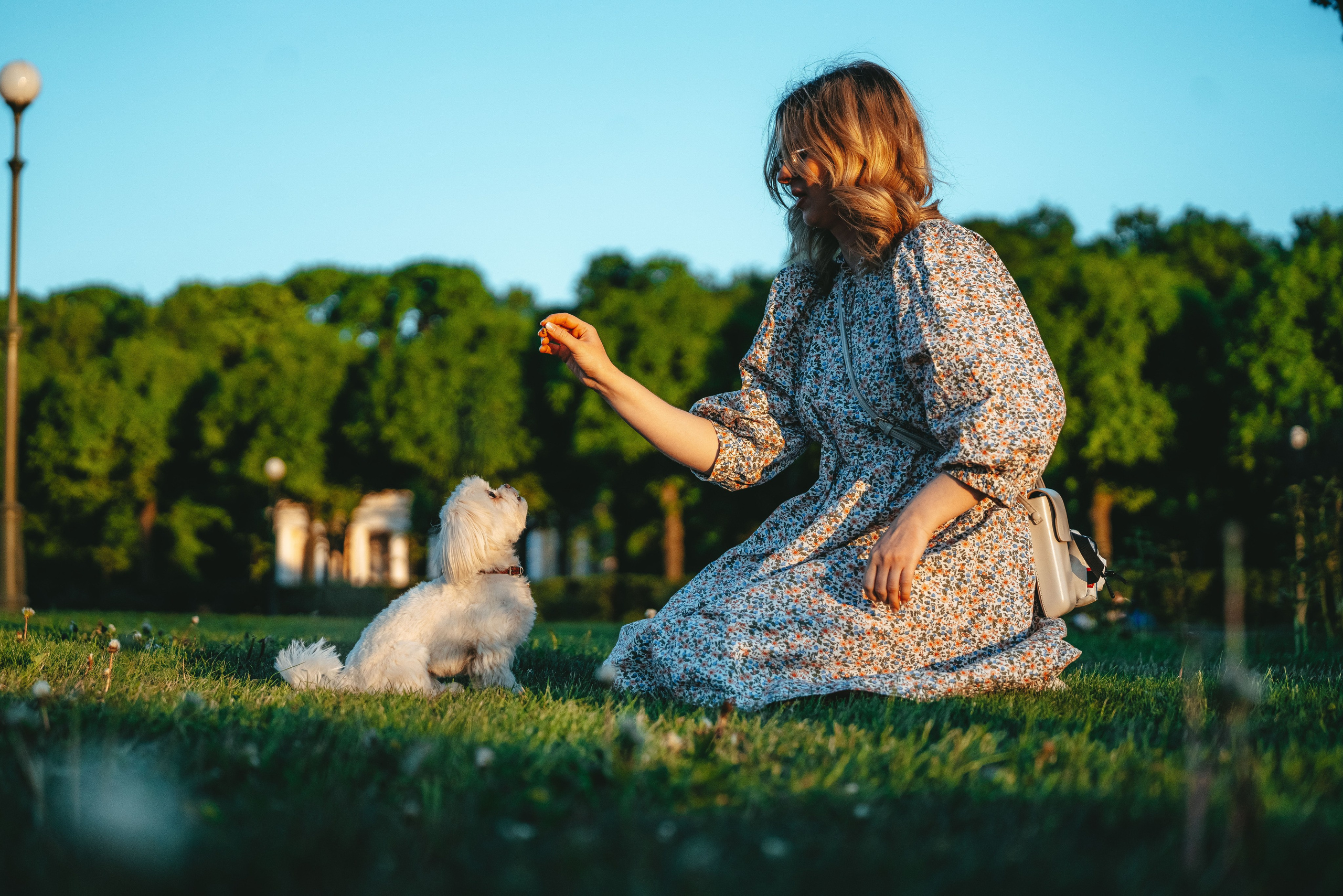Фотосессия с питомцем в центре Санкт-Петербурга. Фотограф анималист в Спб недорого Олеся Майорова