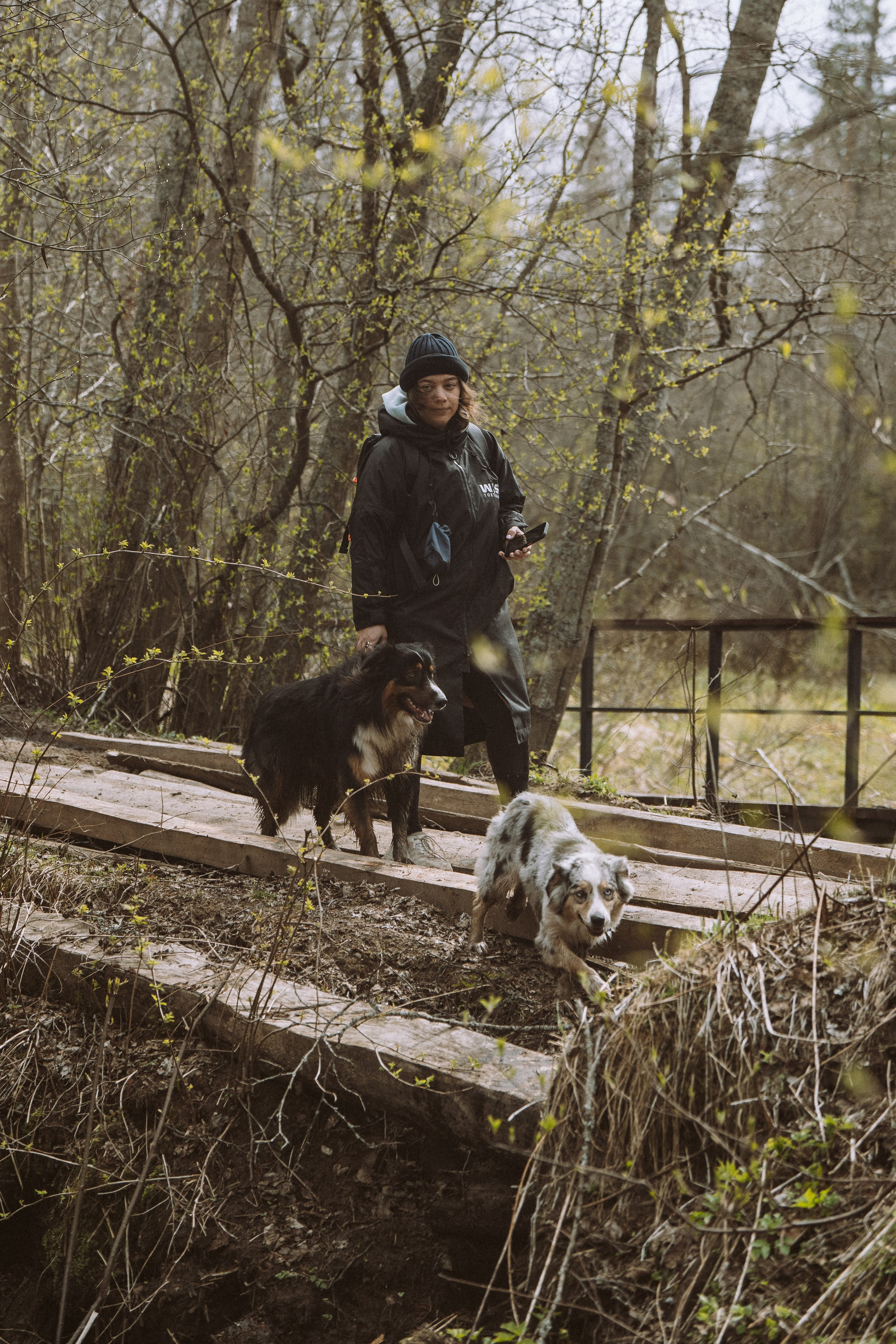 Дог трекинг к финскому хутору. Фотограф анималист в Спб недорого Олеся Майорова