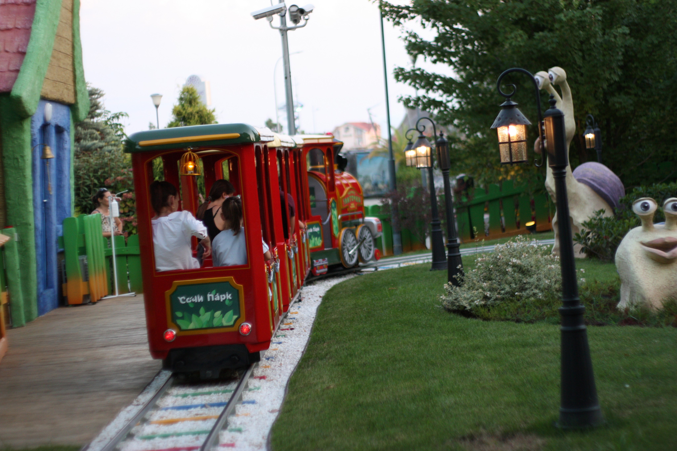 Первые кадры. Сочи — парк. Фотограф Роман Адлер