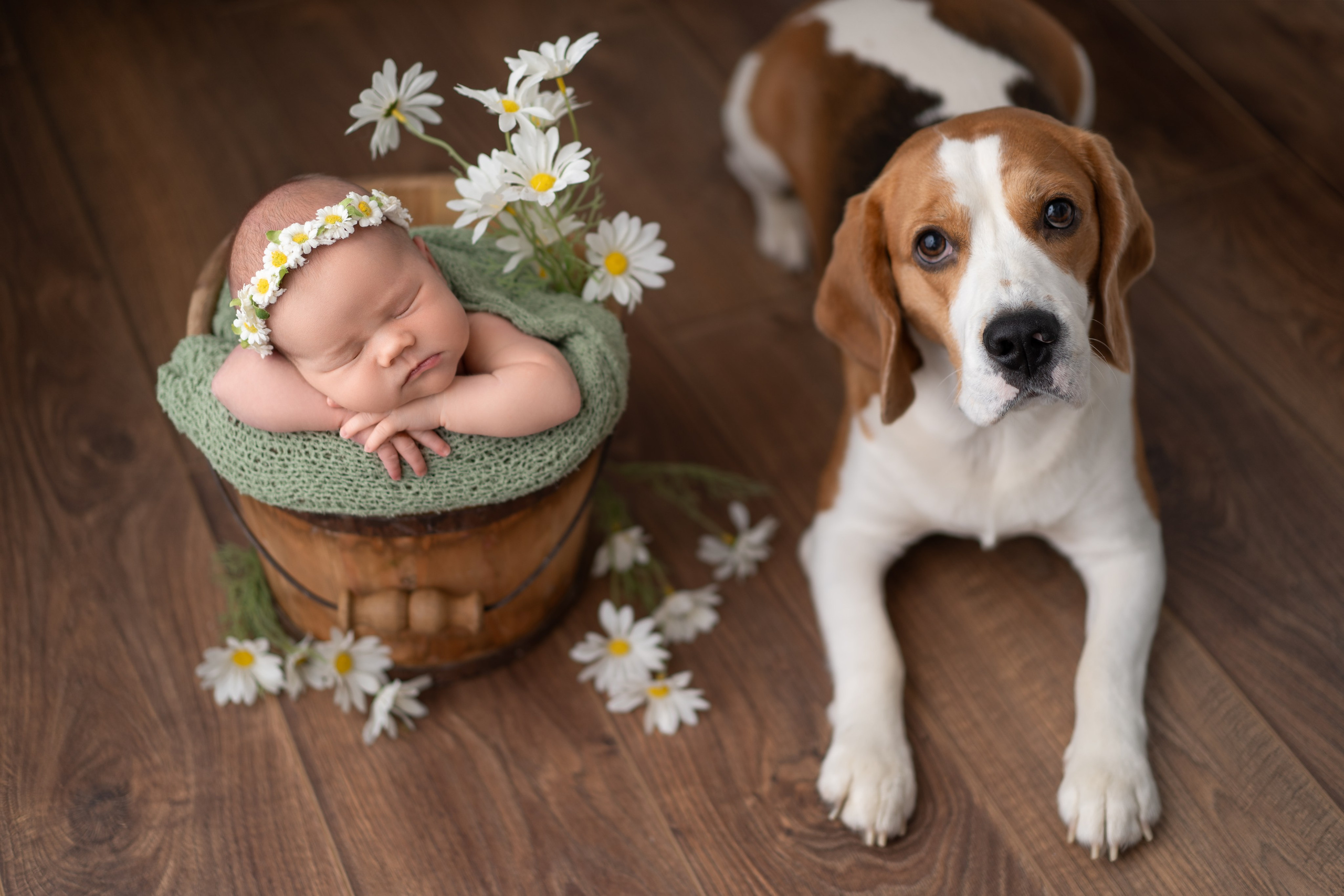Newborn фотограф в Москве — Фотофеи. Съемка новорожденных и детей до года