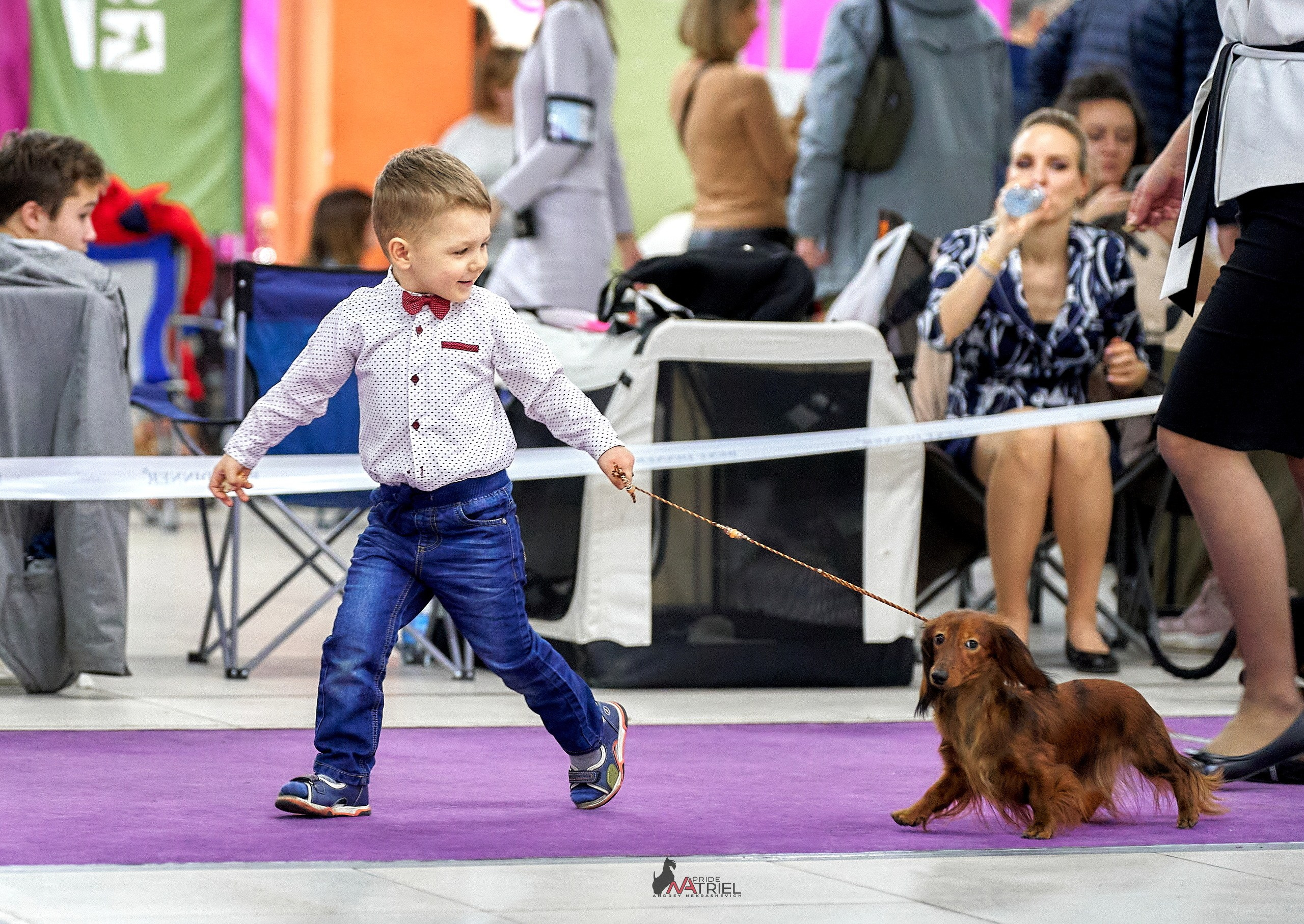 Работа в рингах — галерея NATRIEL