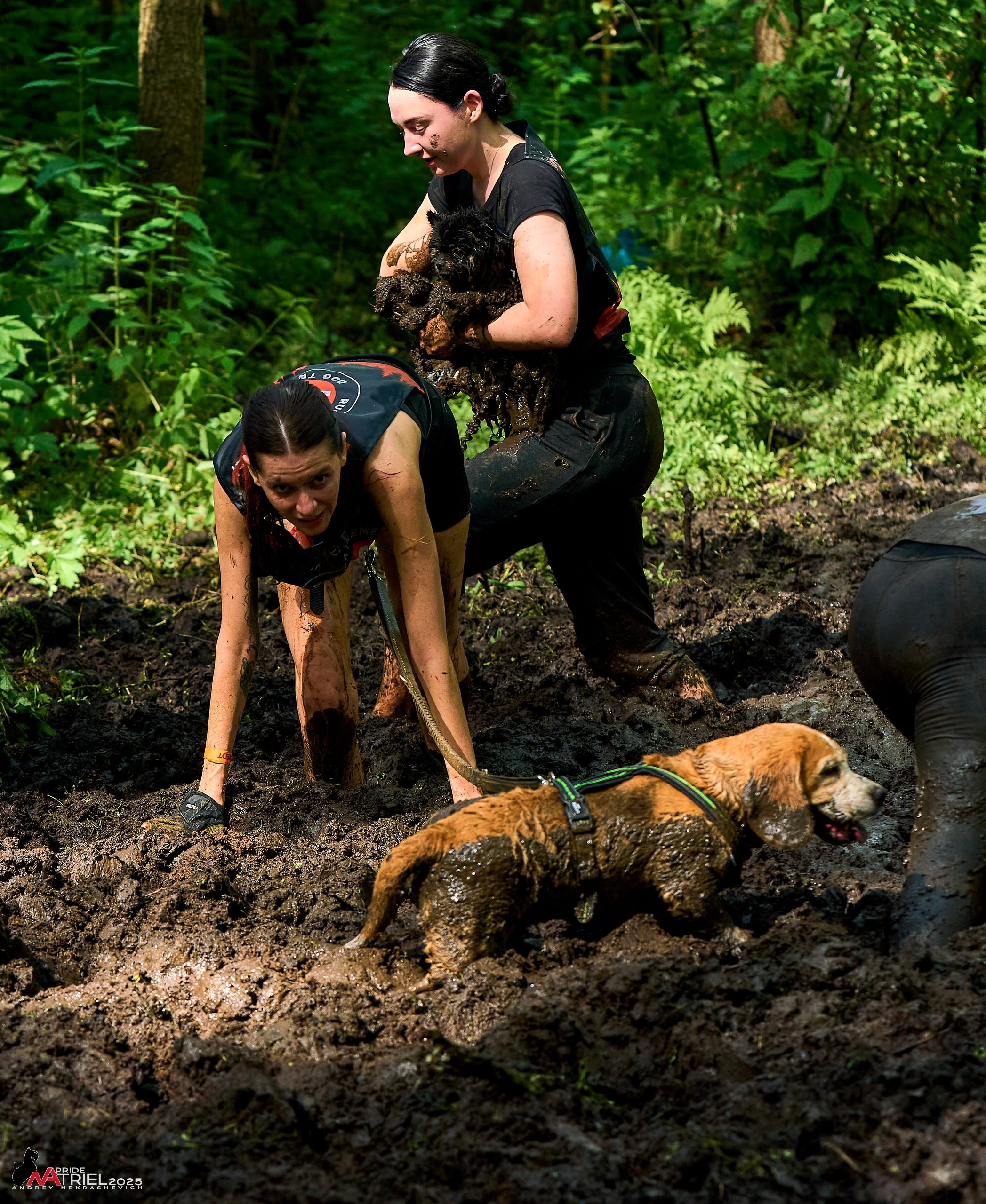 Russian Extreme Dog Trail — 2025