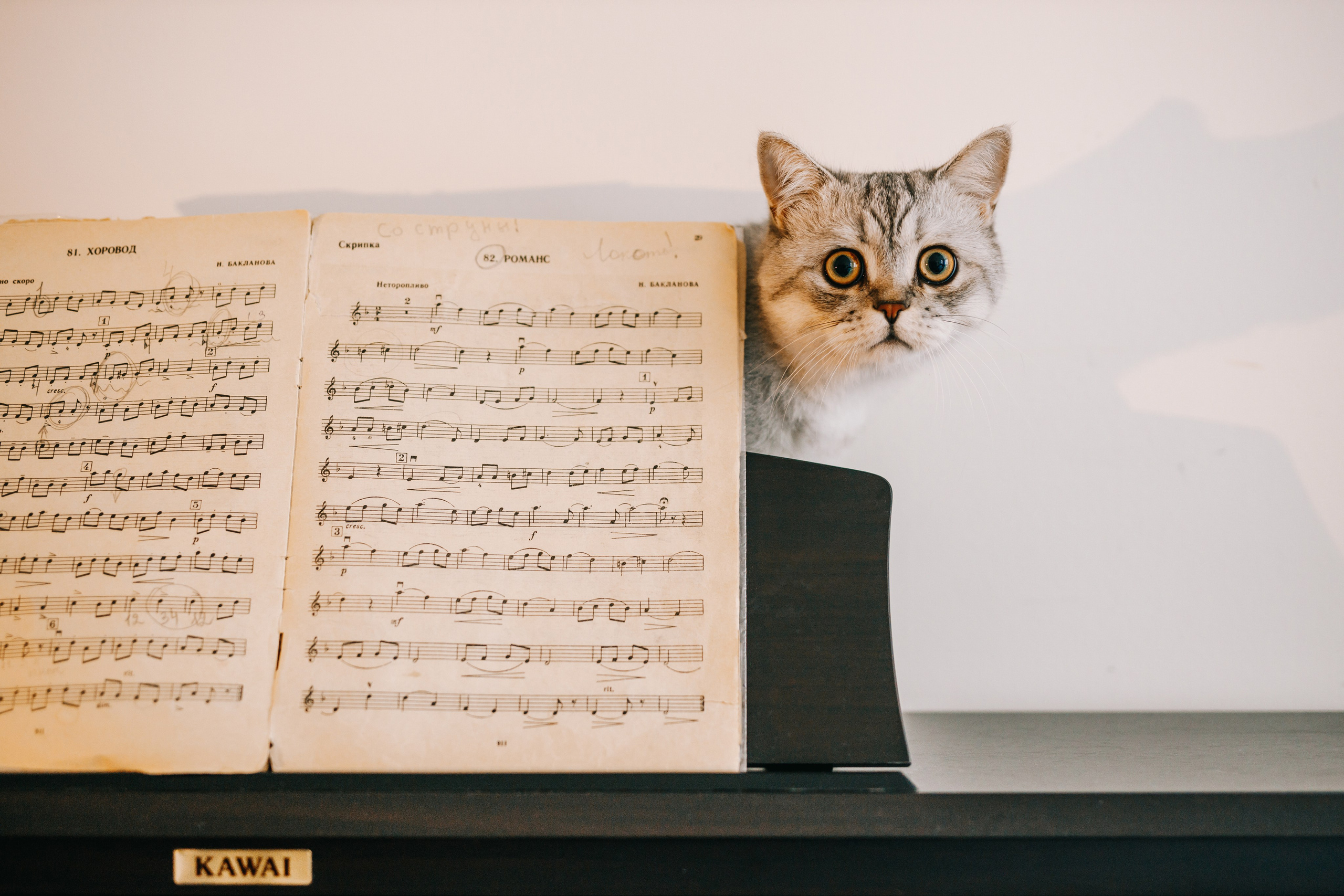 Съёмка дома. Дмитрий Мартьянов семейный фотограф в Санкт-Петербурге