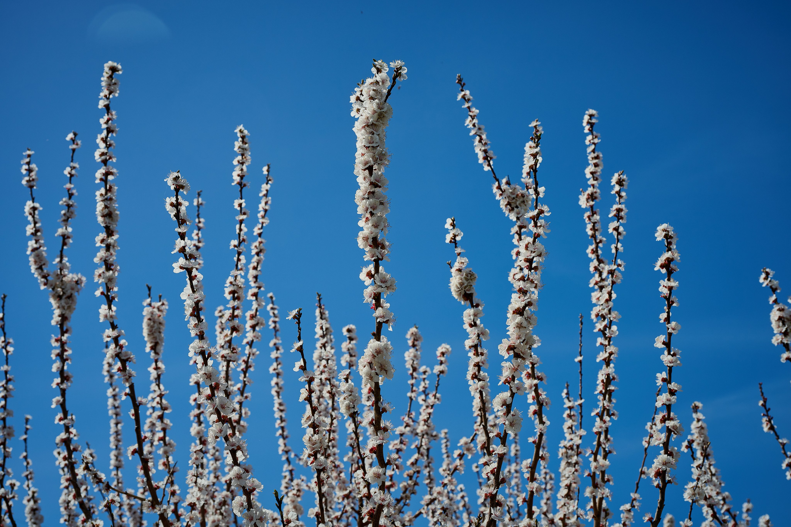 Мелитополь. Фотопроект «Территории»