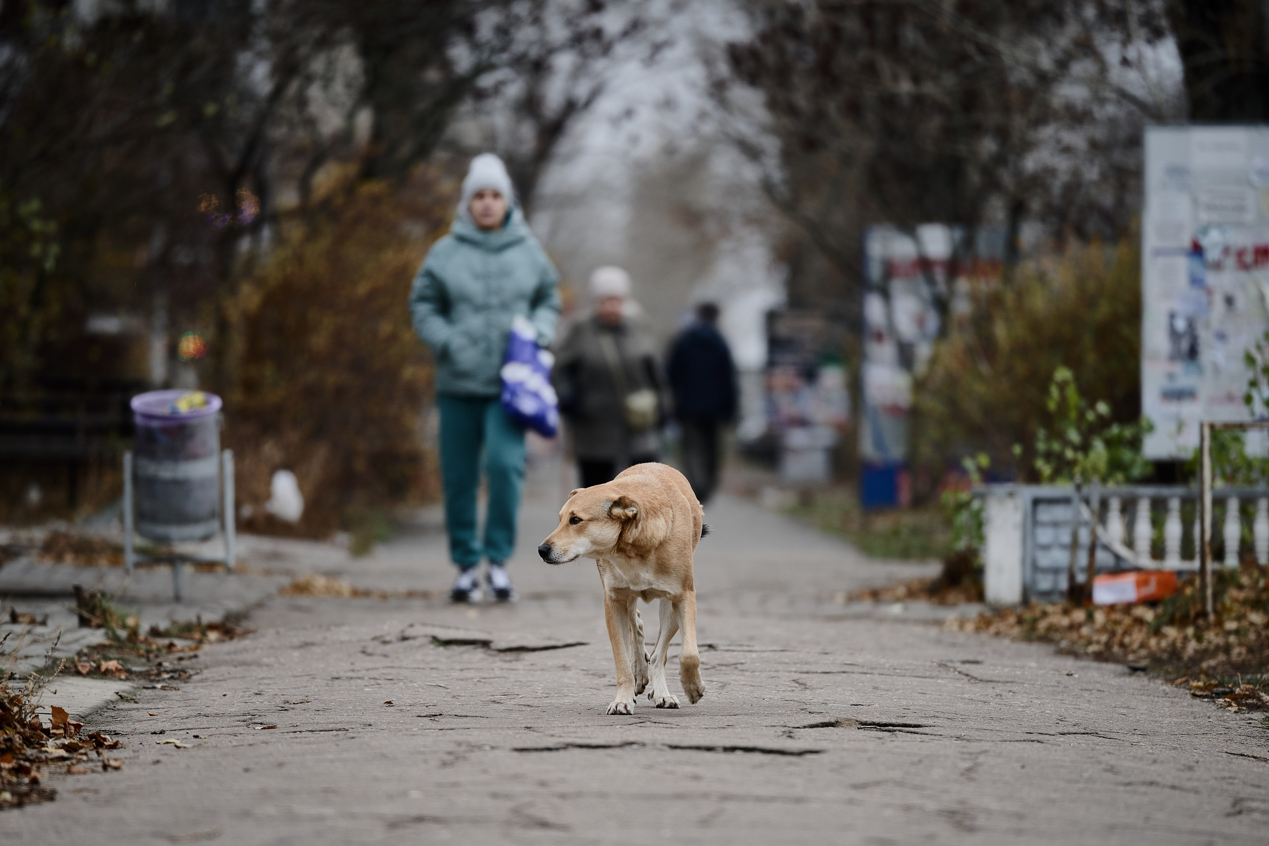 Рубежное. Луганская область. Фотопроект «Территории»