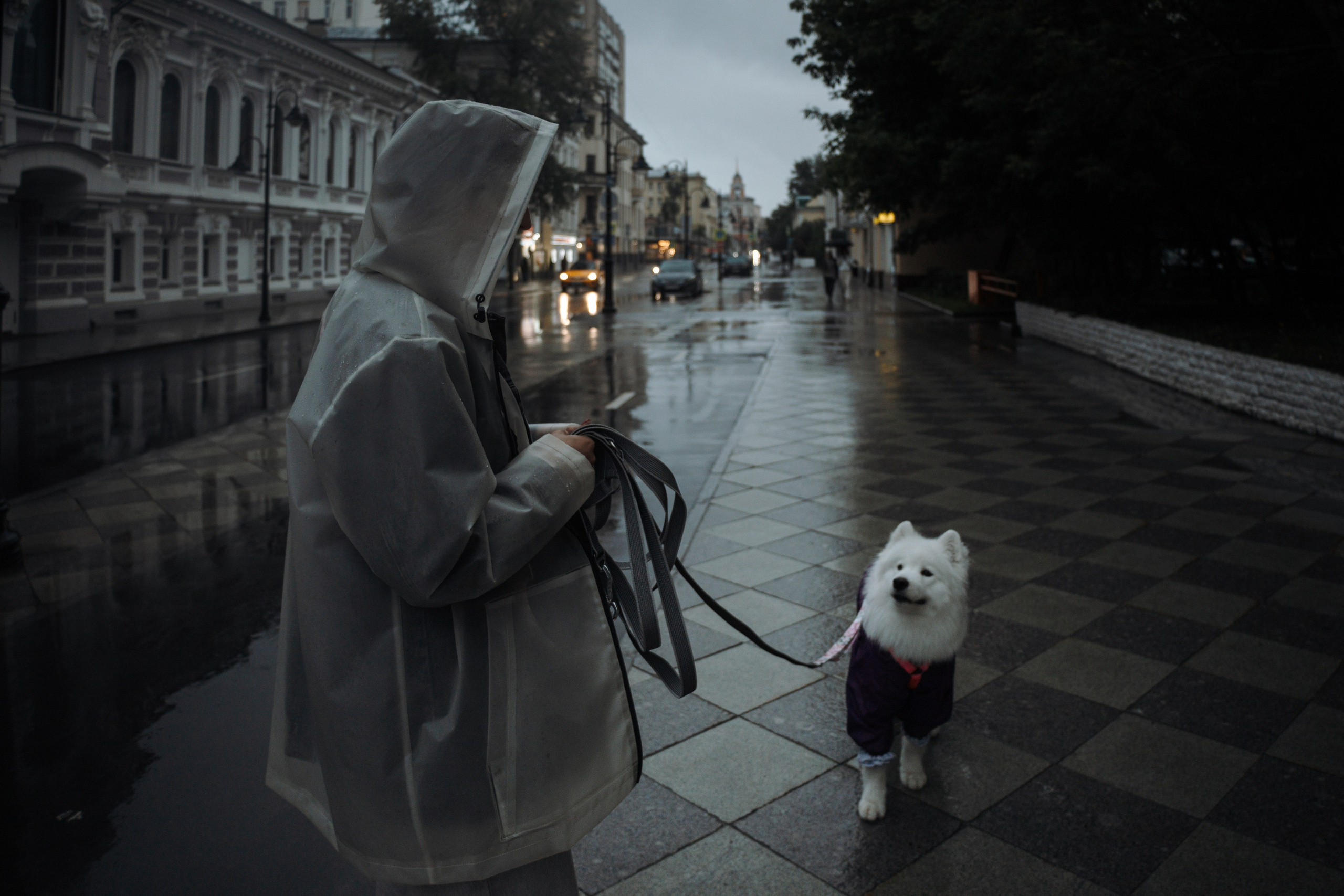 Домашняя фотосессия девушки с собакой и пара фото в дождливый день. Фотограф-анималист в Москве Екатерина Тихонова