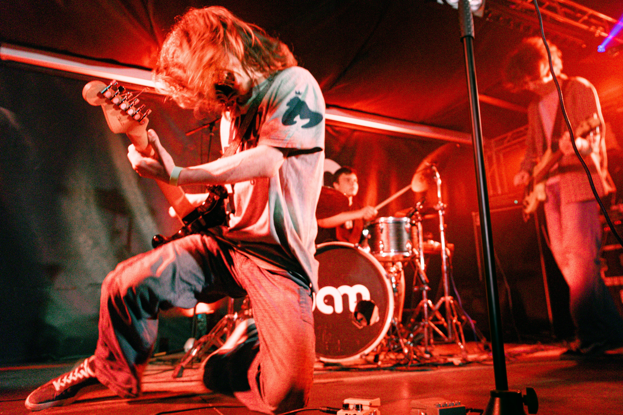 Insomnia, концерт. Samuildyak