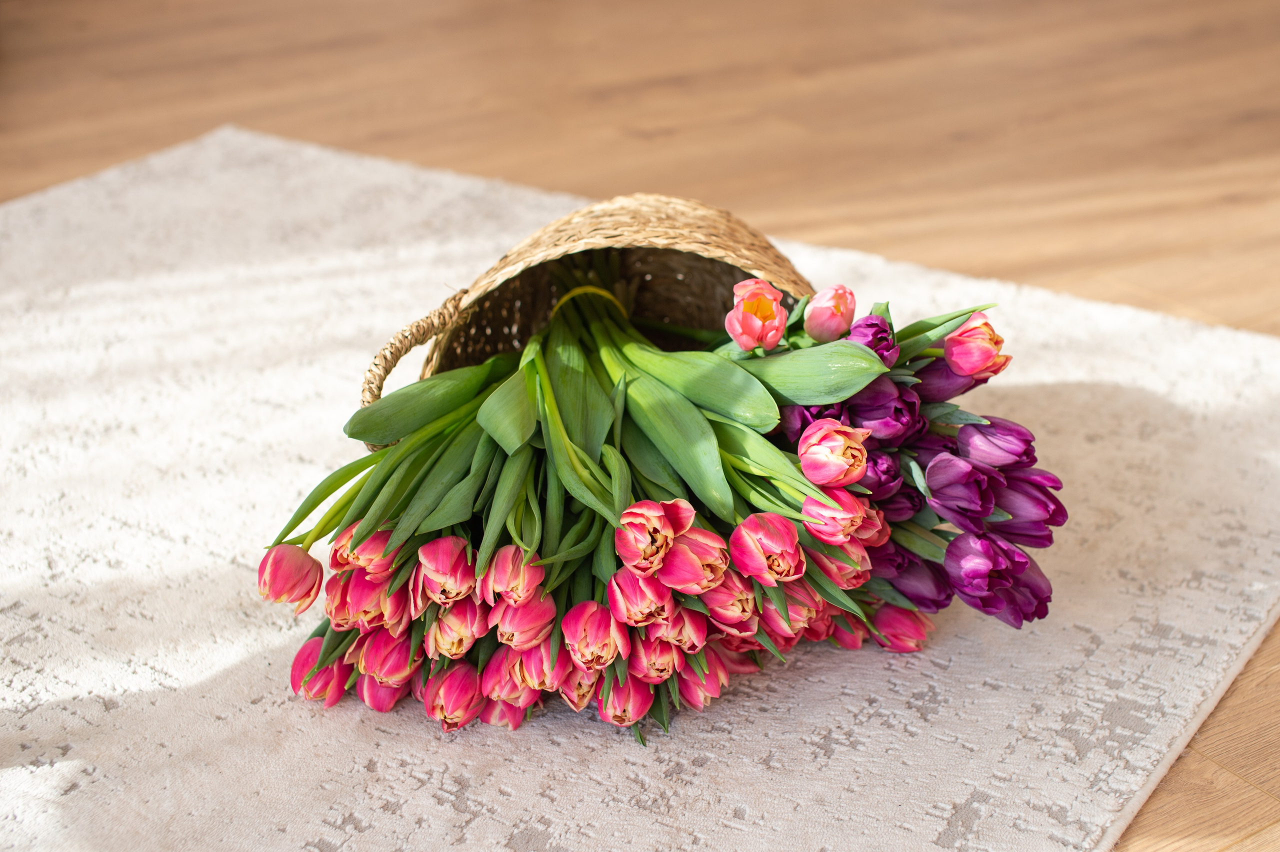 Аня. Свадебный и семейный фотограф в Минске Александра Божок