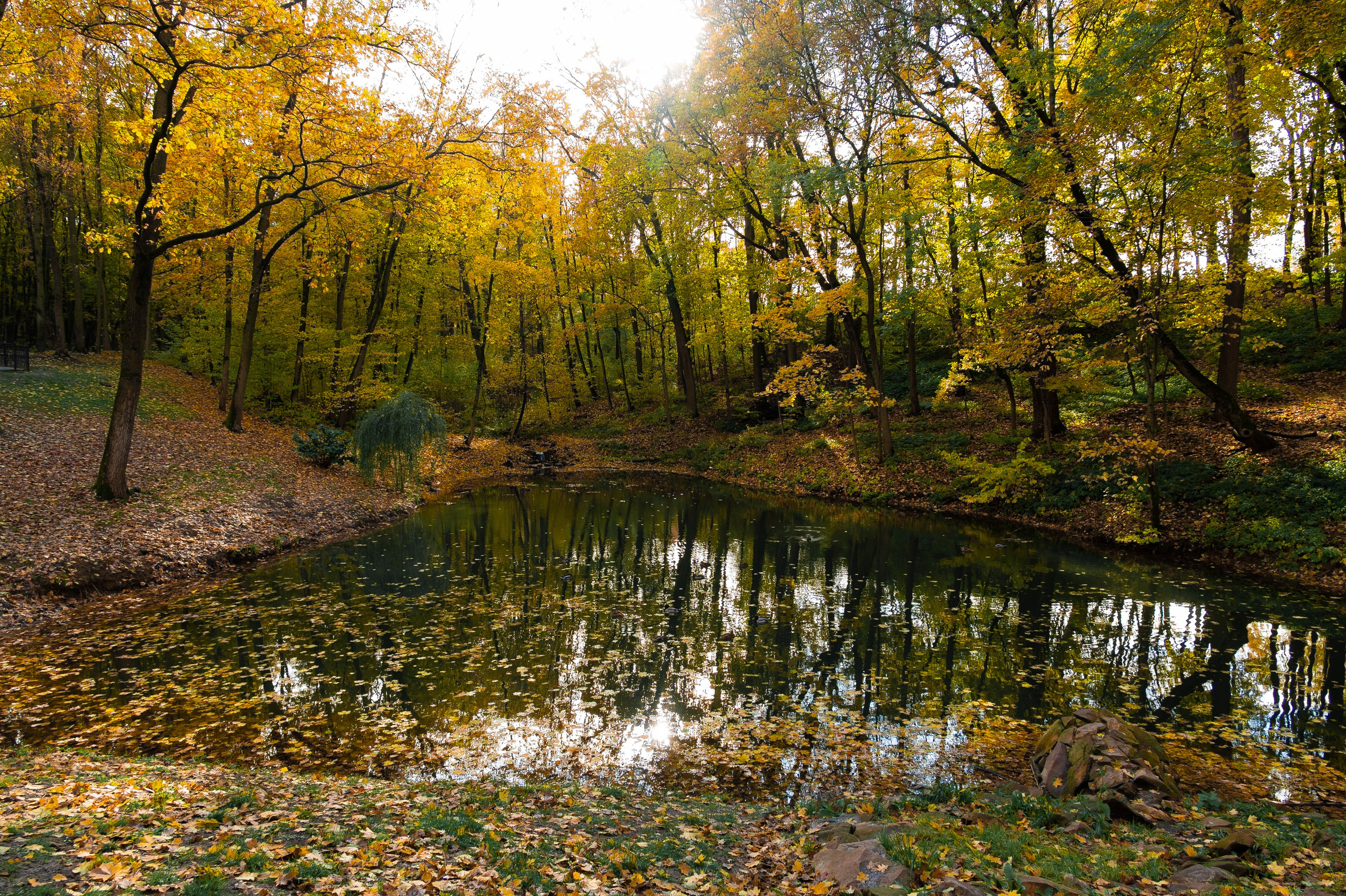 Платоновский парк. Фотограф и видеооператор в Туле | Даниил Рыбак