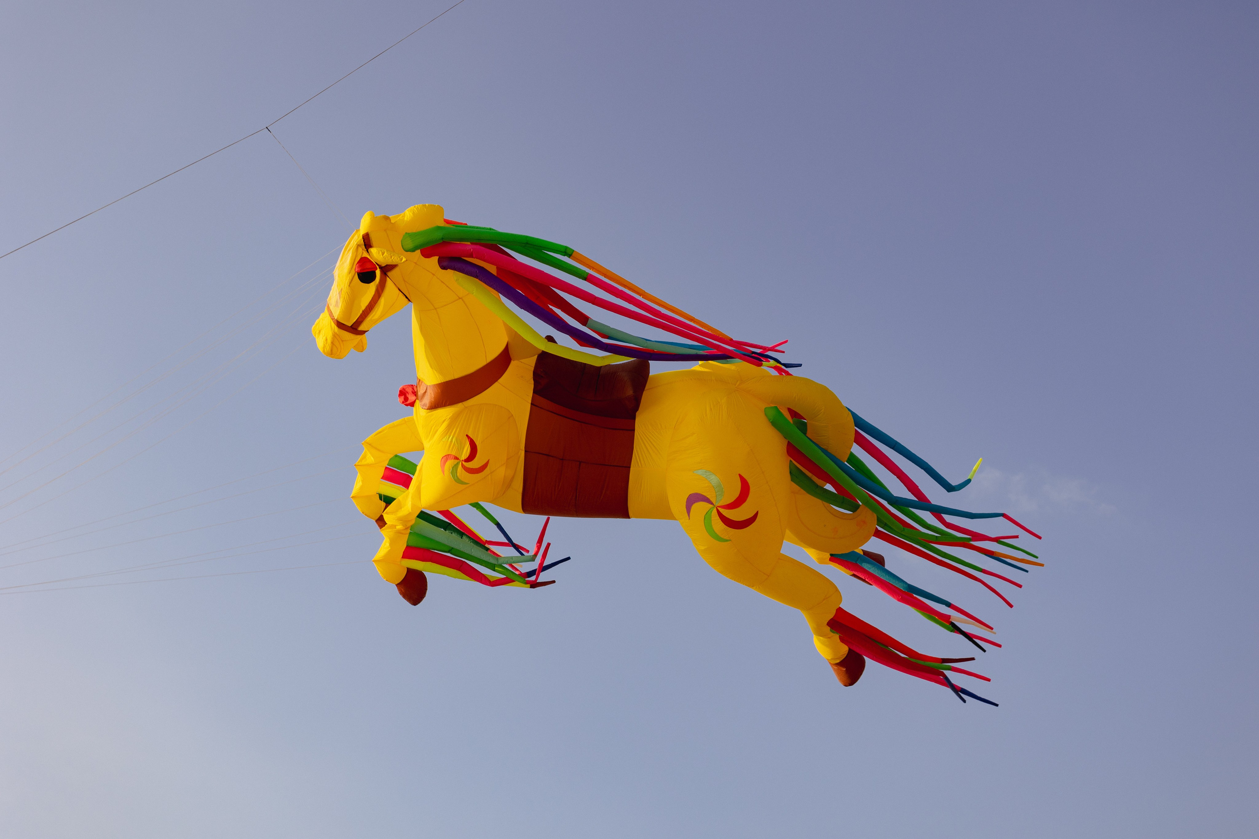 PATTAYA INTERNATIONAL KITE ON THE BEACH 2024. Photographer Sonkina Tatiana (Tanya Ash)